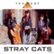 Front Standard. The Best of Stray Cats [Capitol] [CD].