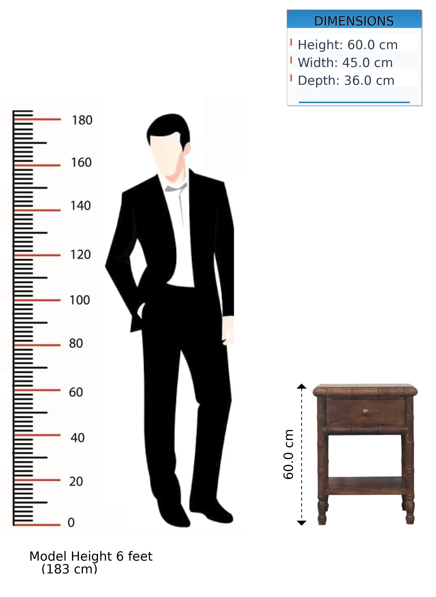 DIMENSIONS  
Height: 60.0 cm  
Width: 45.0 cm  
Depth: 36.0 cm  

Model Height: 6 feet (183 cm)