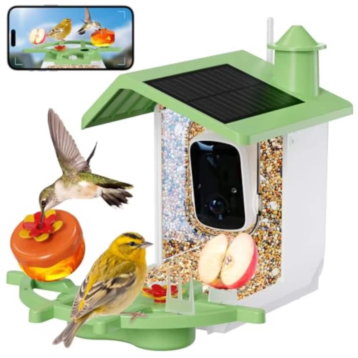 Luckbyte - Smart Bird Feeder with Camera, AI Identify Birds, Solar 2K HD Live Video, Instant Alerts, IP65 Waterproof - Green