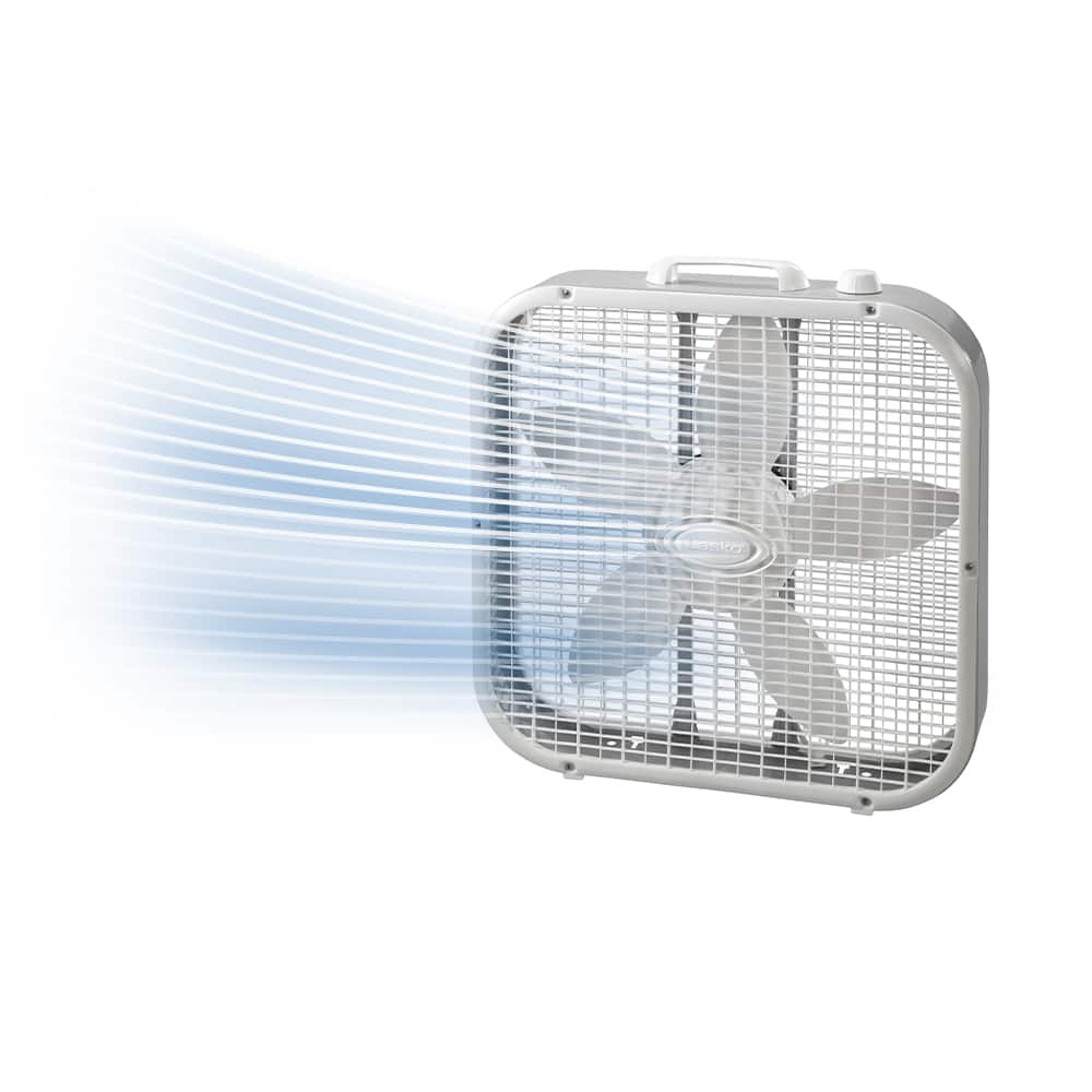 Lasko - 20 in. Air Circulating Box Fan with 3 Speeds - White