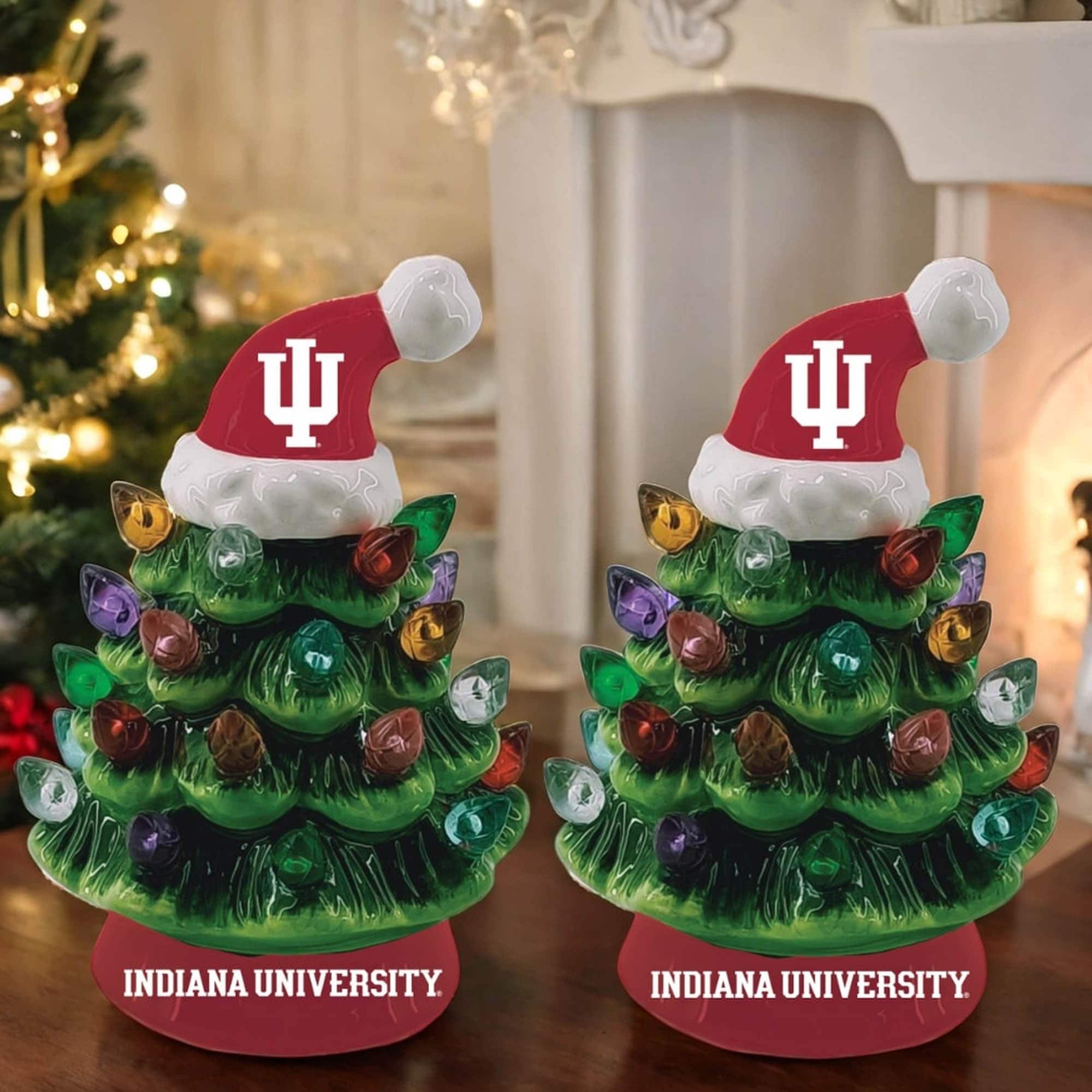 INDIANA UNIVERSITY  
INDIANA UNIVERSITY