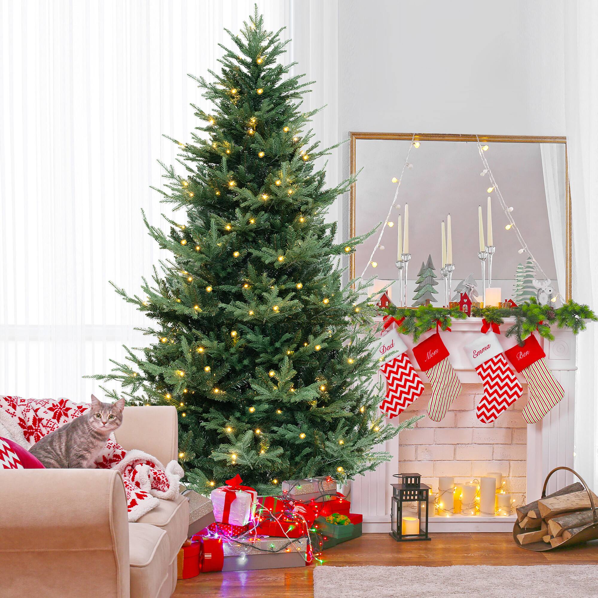 Dad  
Mom  
Emma  
Leo