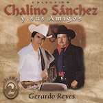 Best Buy: Coleccion Chalino Sanchez Y Sus Amigos, Vol. 2 [CD]