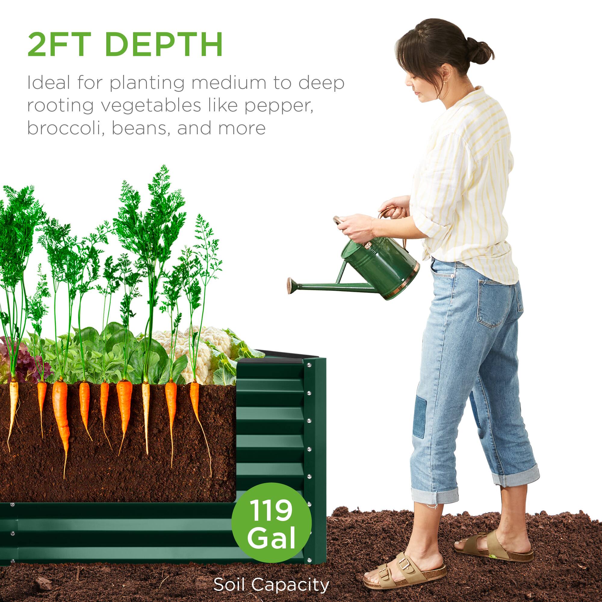 2FT DEPTH  
Ideal for planting medium to deep rooting vegetables like pepper, broccoli, beans, and more  

119 Gal  
Soil Capacity