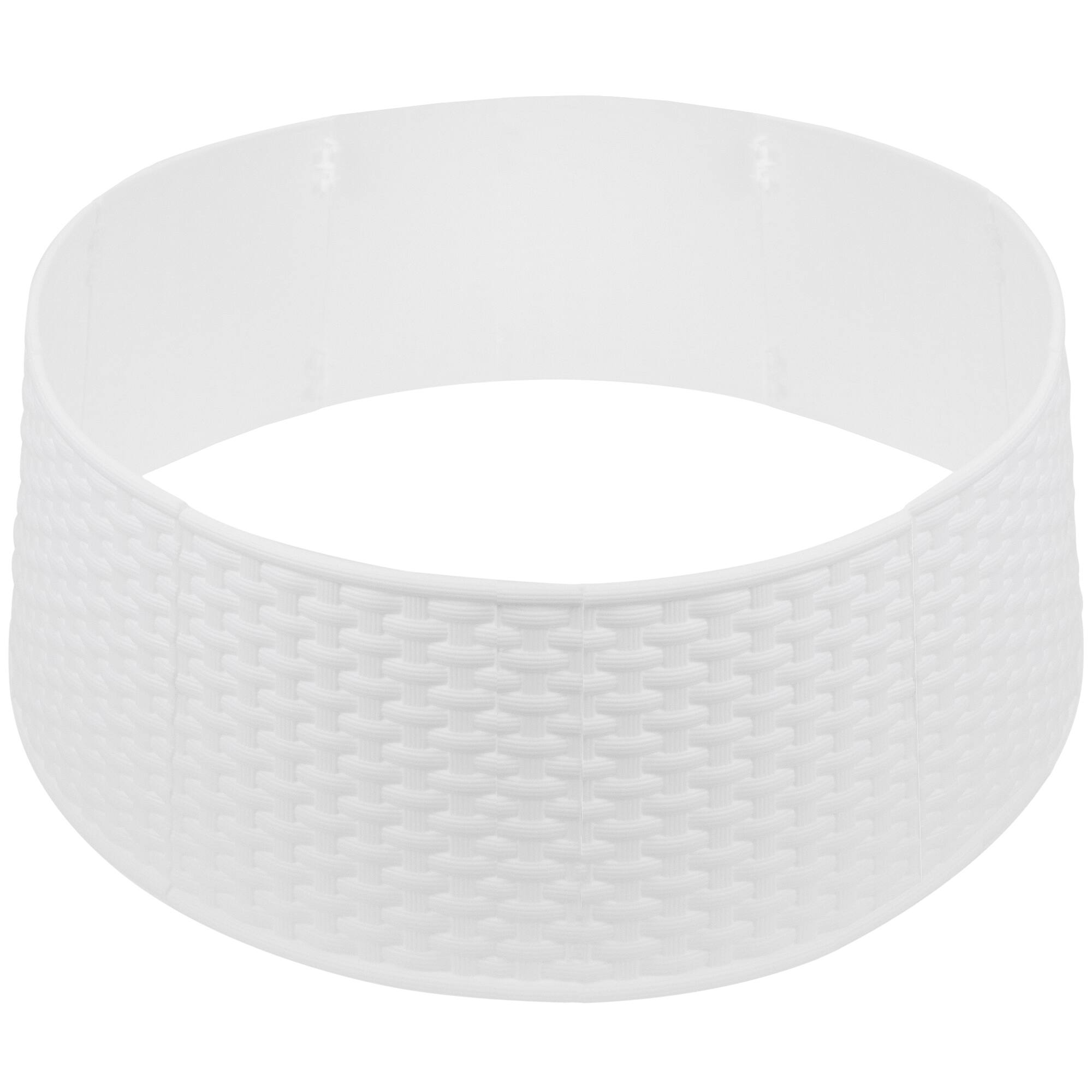 Live christmas trees for planters