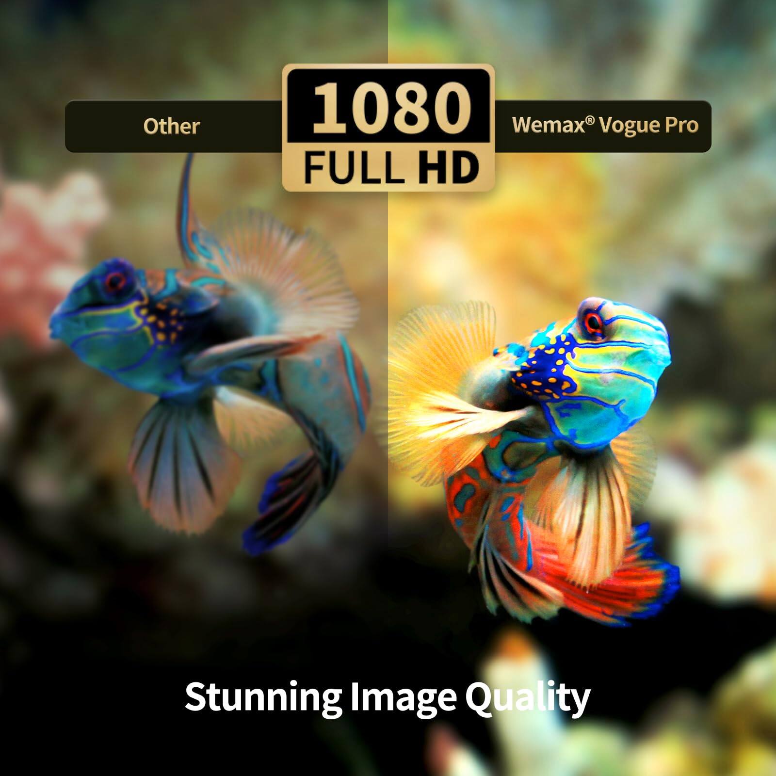 Other  
1080 FULL HD  
Wemax® Vogue Pro  
Stunning Image Quality