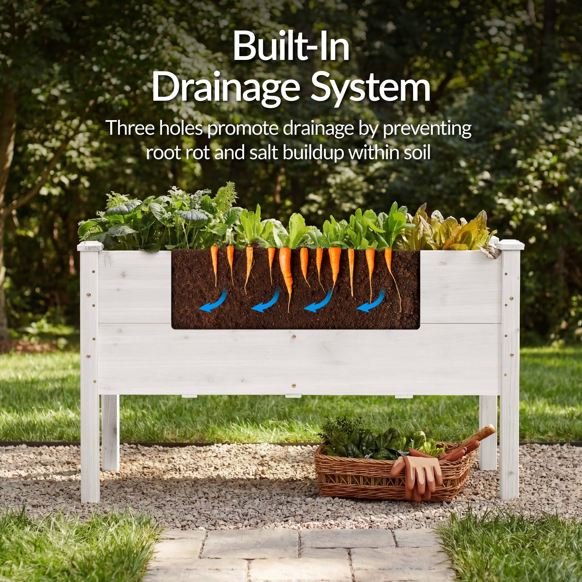Built-In Drainage System

Three holes promote drainage by preventing root rot and salt buildup within soil