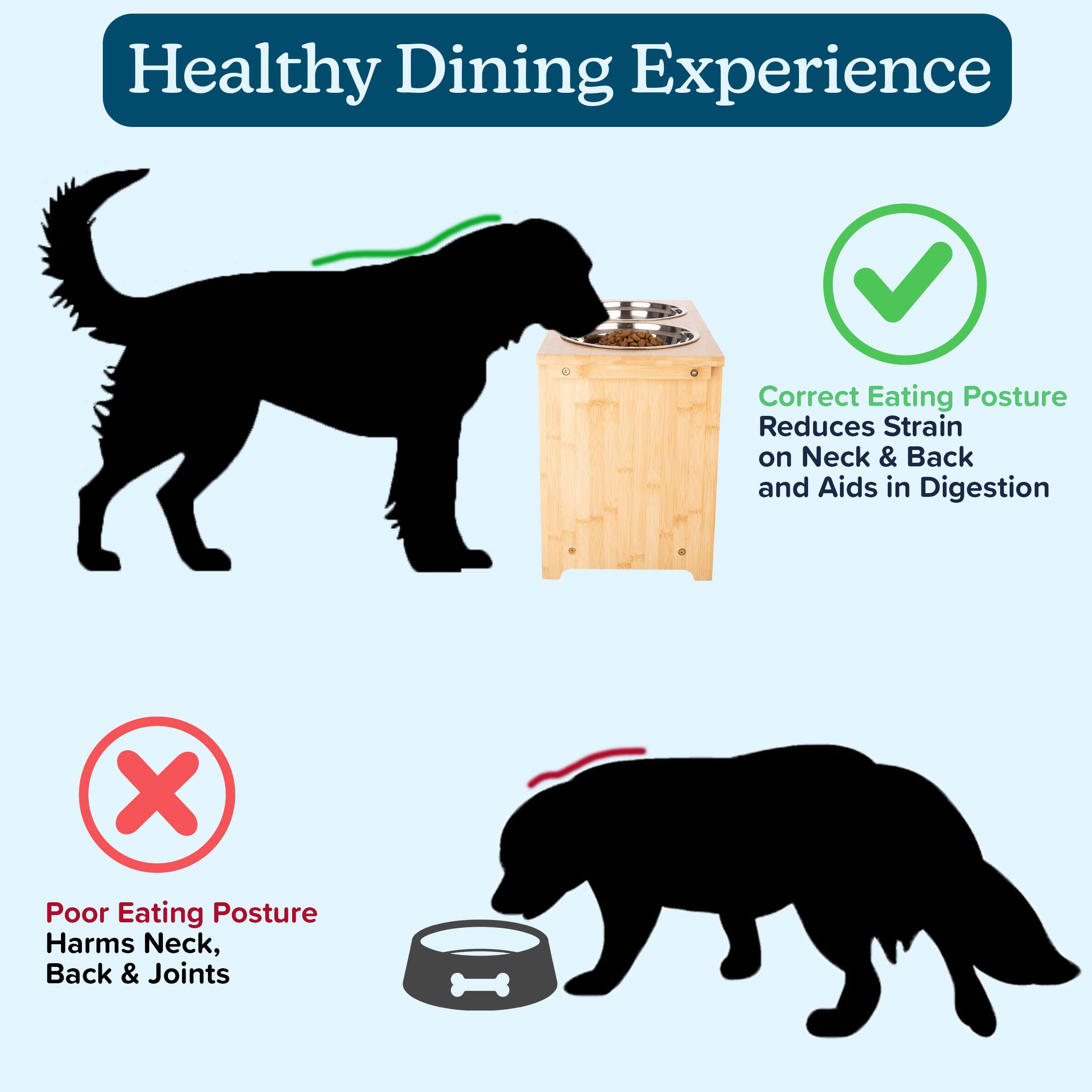 Healthy Dining Experience

Correct Eating Posture Reduces Strain on Neck & Back and Aids in Digestion

Poor Eating Posture Harms Neck, Back & Joints