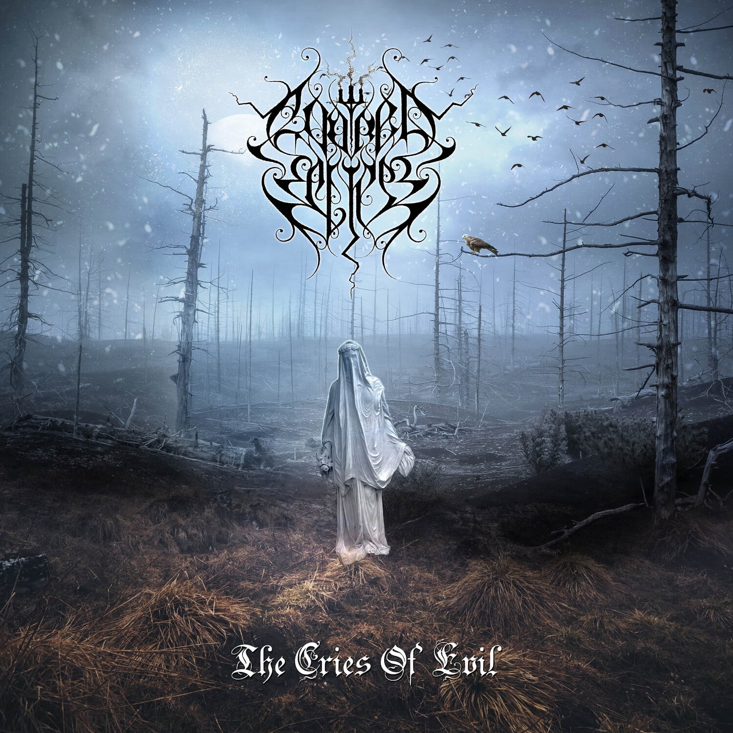 Evoked Eclipse - The Cries Of Evil   - COMPACT DISCS [CD] price history on PriceWatchPro
