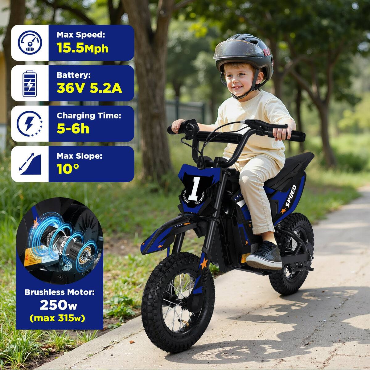 Max Speed: 15.5Mph  
Battery: 36V 5.2A  
Charging Time: 5-6h  
Max Slope: 10°  
Brushless Motor: 250w (max 315w)