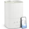 MIKO BREEZE My Air Humidifier
Humidity: 32%
Mist Speed Level: Low, Mid, Hi