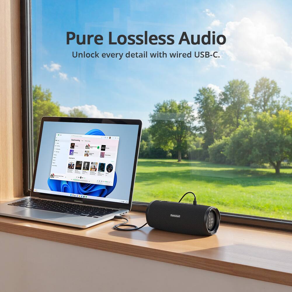 Pure Lossless Audio  
Unlock every detail with wired USB-C.