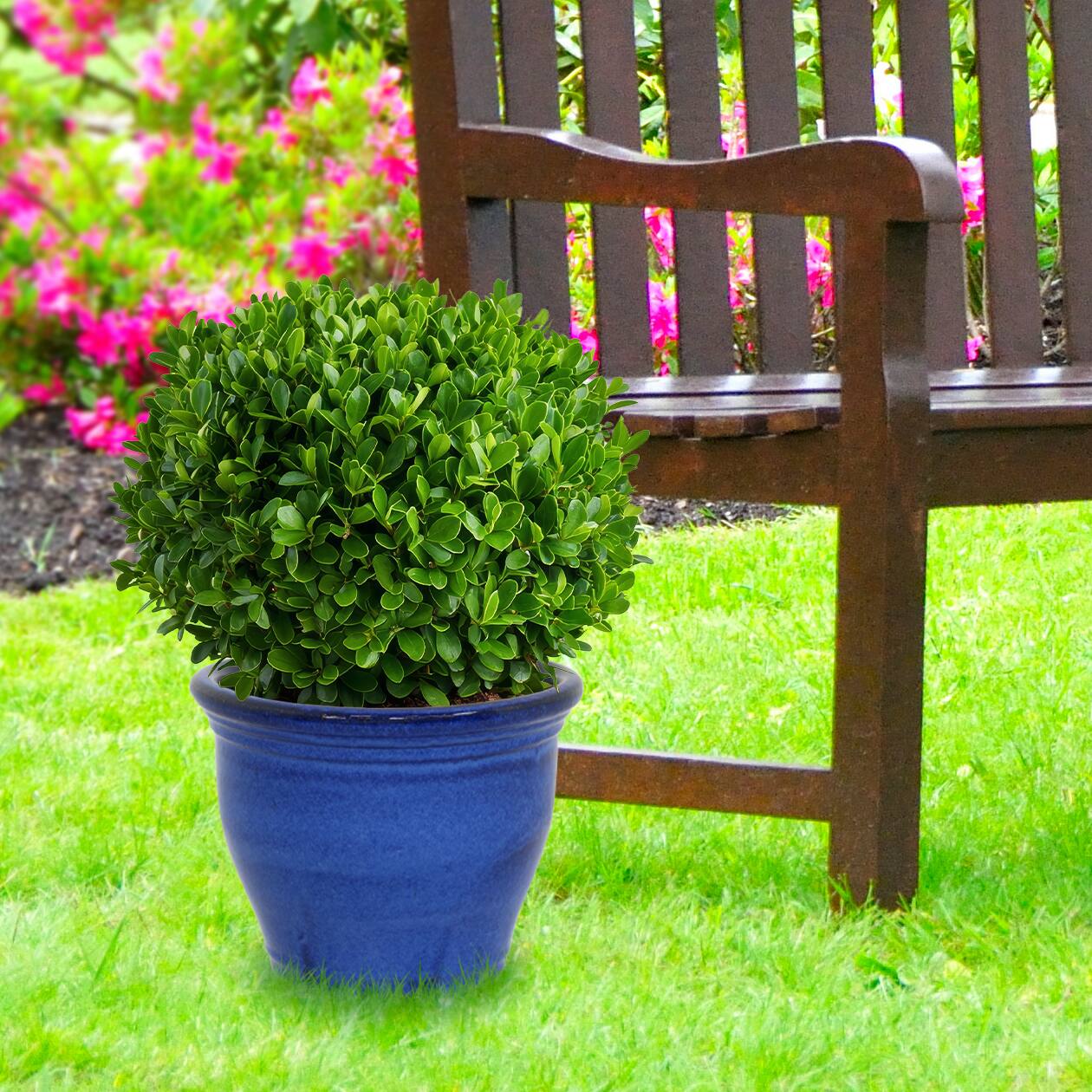 Alt View 8. Sunnydaze - 15 in Studio High-Fired Glazed Ceramic Planter - Imperial Blue.