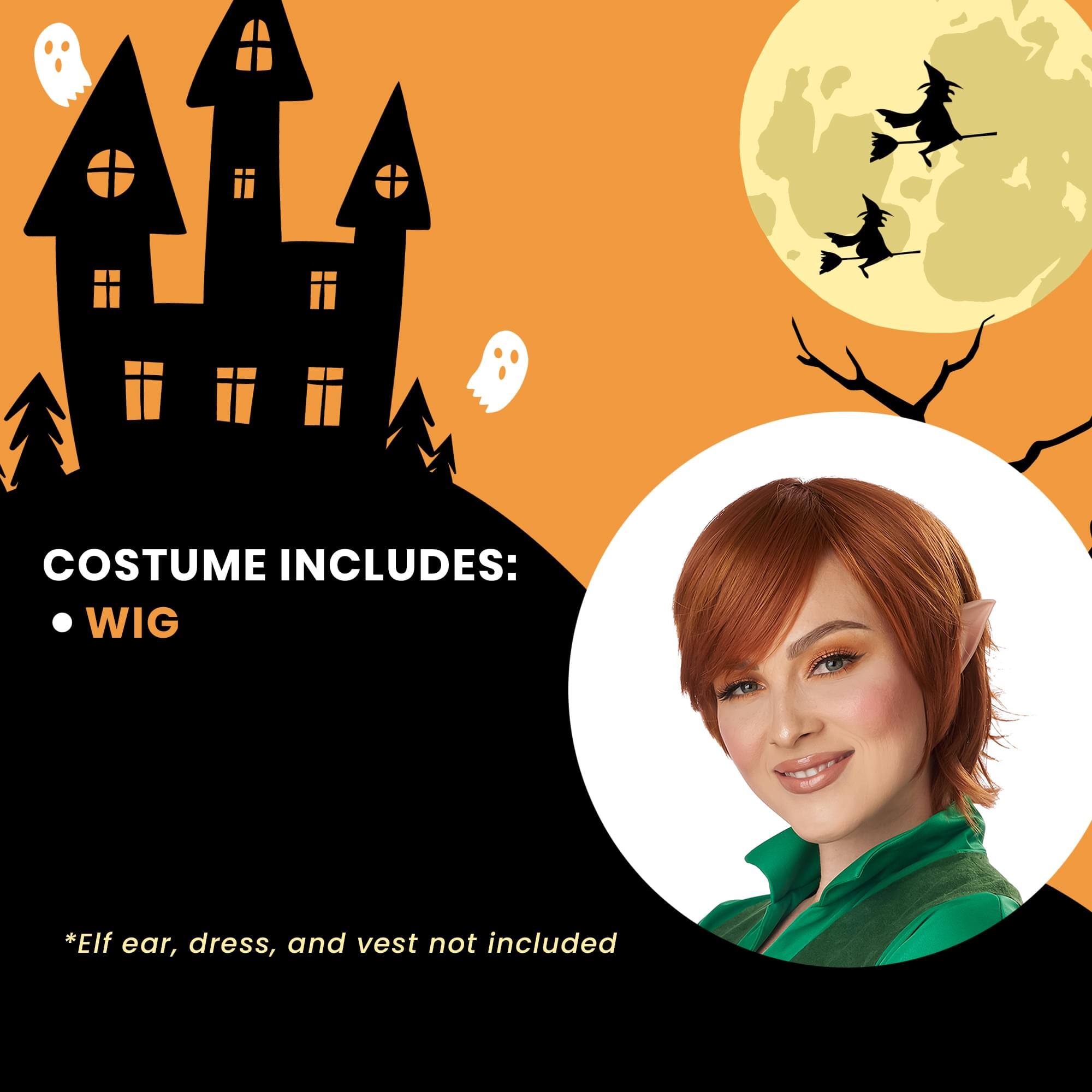 COSTUME INCLUDES:  
- WIG  

*Elf ear, dress, and vest not included