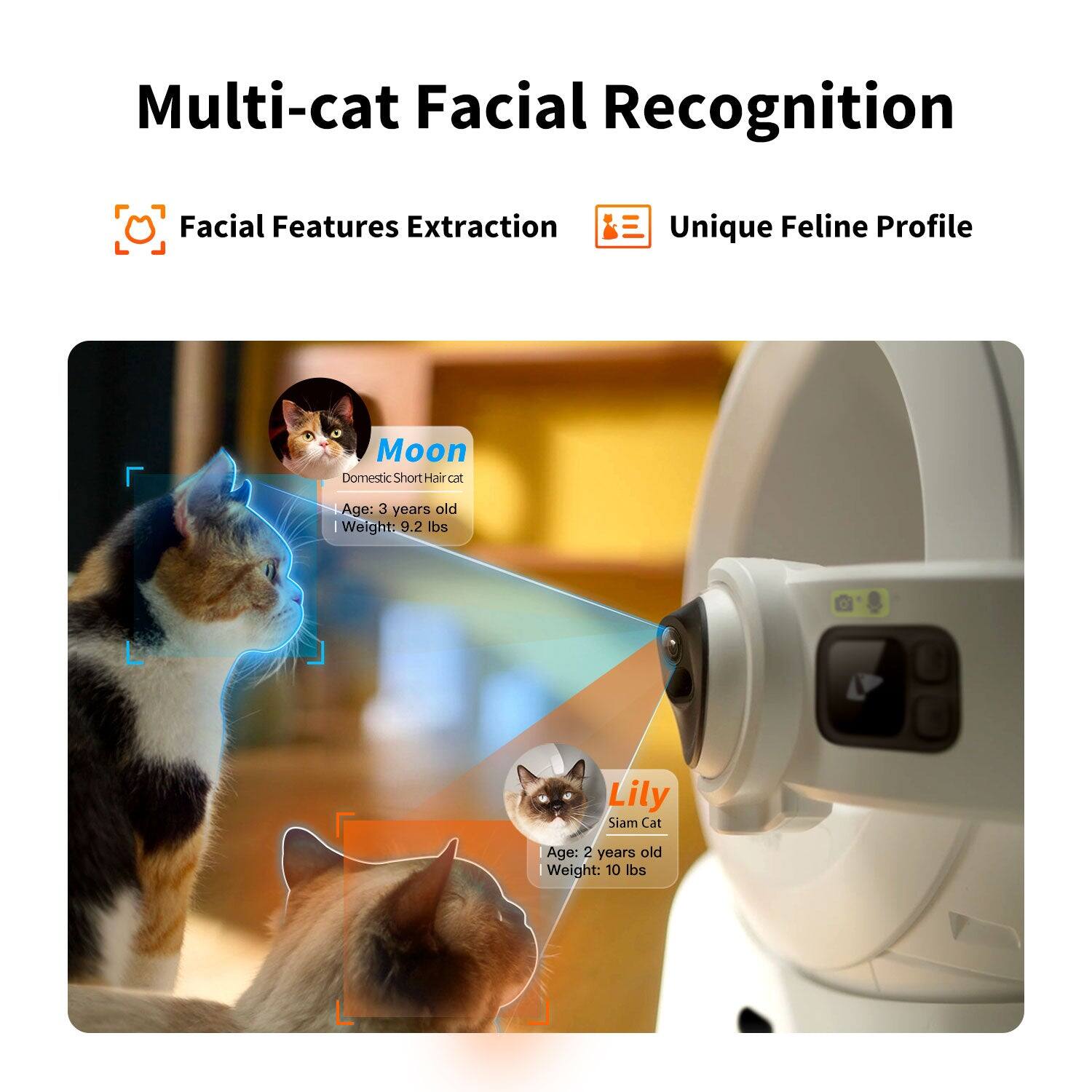 Multi-cat Facial Recognition:

1. Facial Features Extraction:
2. Unique Feline Profile:

Moon:

1. Domestic Short Hair cat:
2. Age: 3 years old:
3. Weight: 9.2 lbs:

Lily:

1. Siam Cat:
2. Age: 2 years old:
3. Weight: 10 lbs: