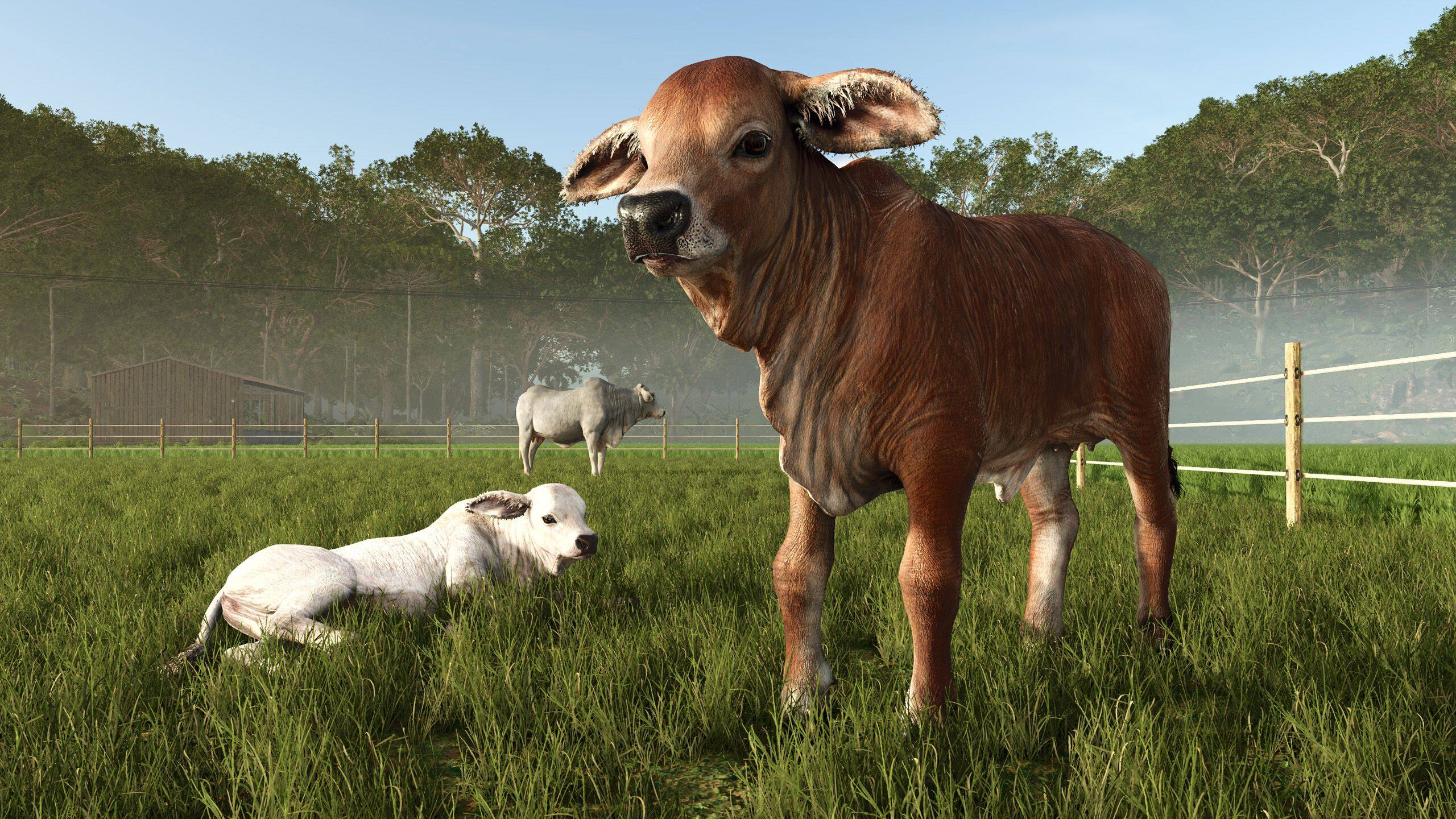 Alt View 6. Giants Software - Farming Simulator 25 Beans & Alpacas Edition for Xbox Series X.
