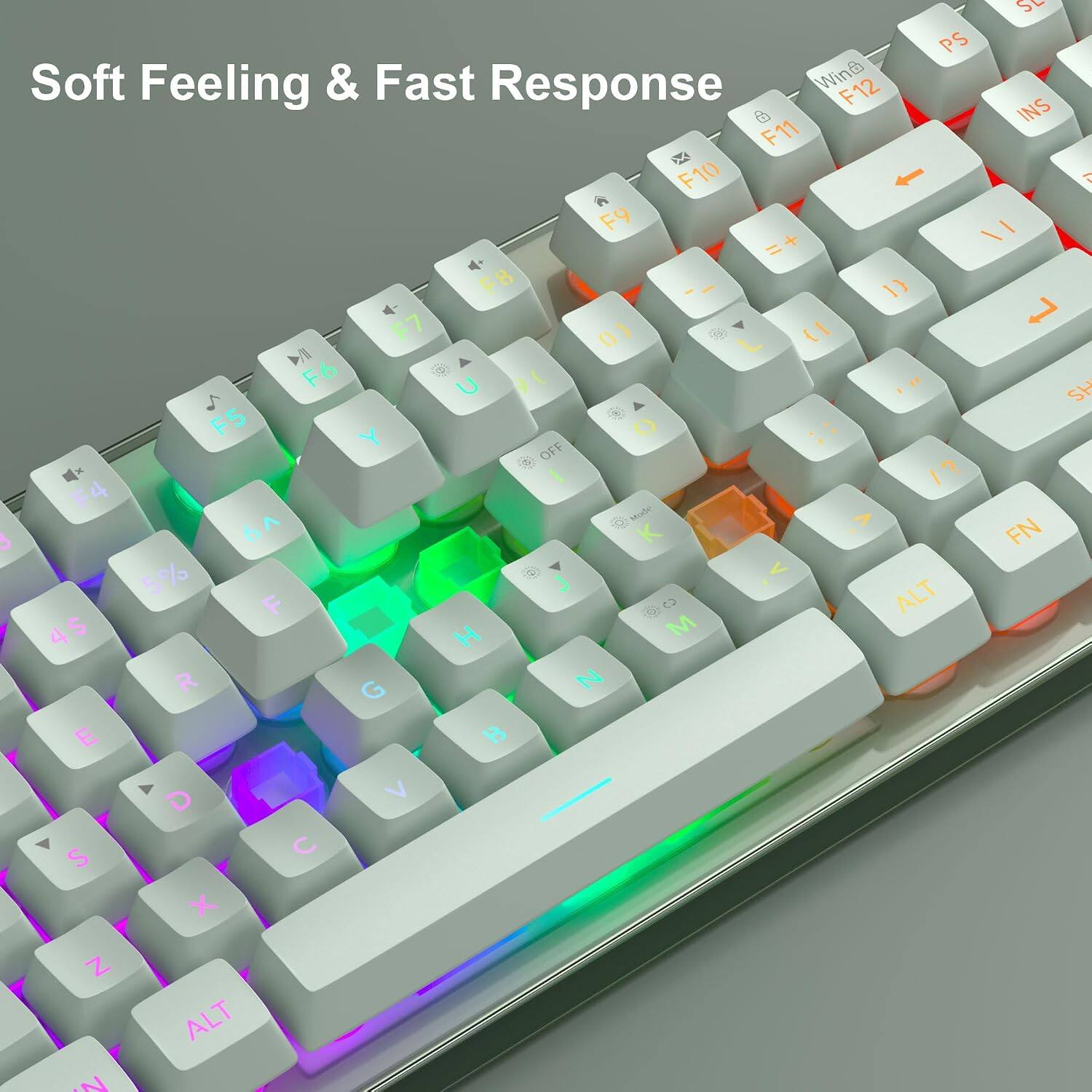 Soft Feeling & Fast Response

PS Soft Feeling & Fast Response

Win F12 F11 F10 F9 F8 F7 F6 F5 OFF F4

Made 6 6A 5% ALT F 4$ H M R G N E D V S C X Z ALT N

SV INS A SH FN