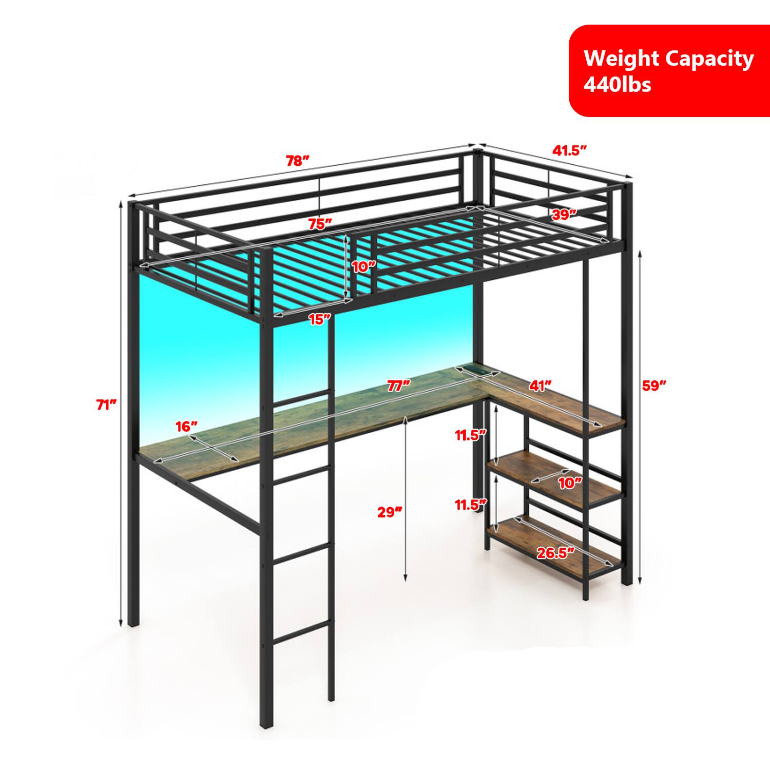 Weight Capacity: 440lbs  
78"  
41.5"  
75"  
39"  
10"  
15"  
71"  
16"  
77"  
11.5"  
41"  
59"  
29"  
11.5"  
10"  
26.5"