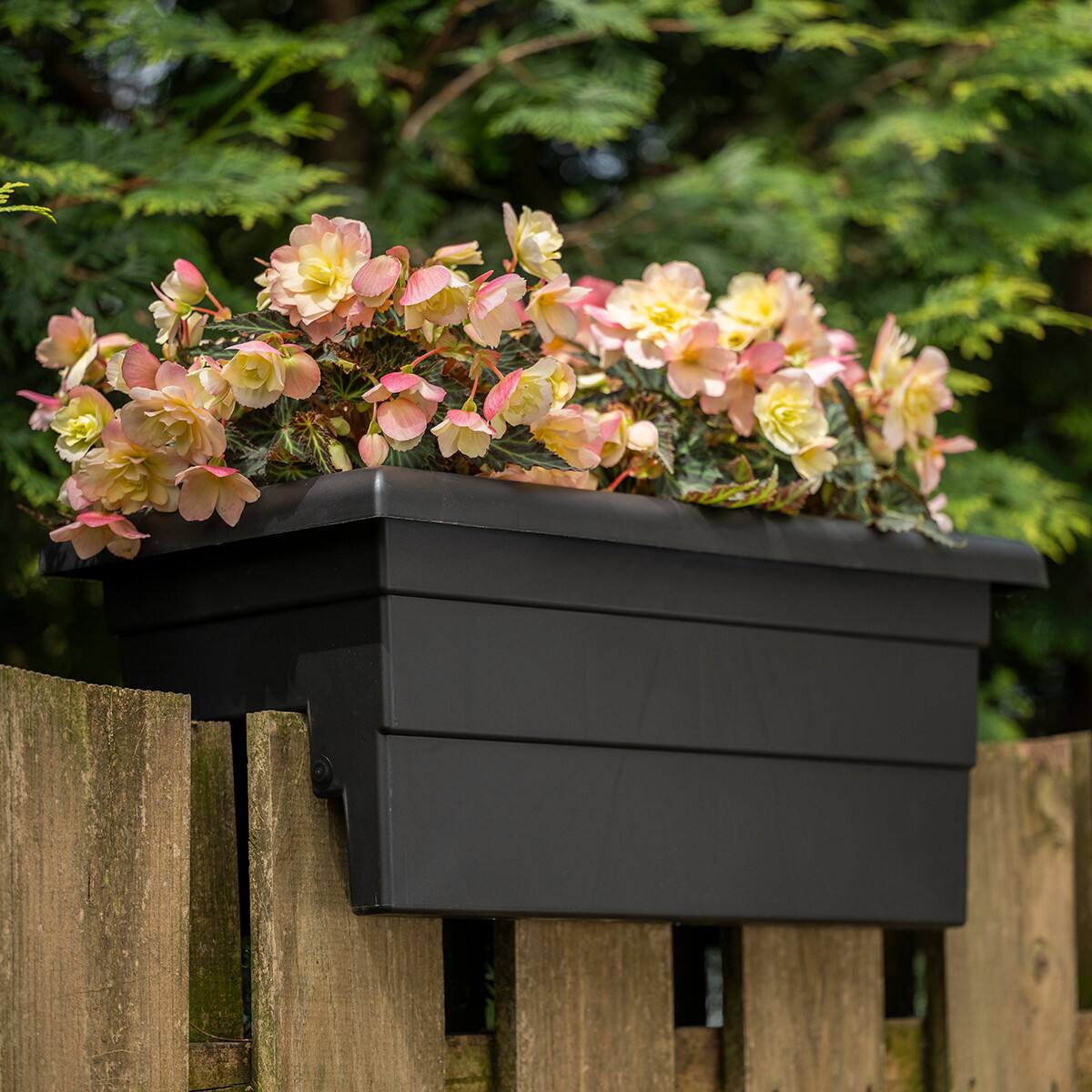 Alt View 3. Root & Vessel - 16" Countryside Rail Planter for 3.5" or 5.5" Wide Railings - Black.