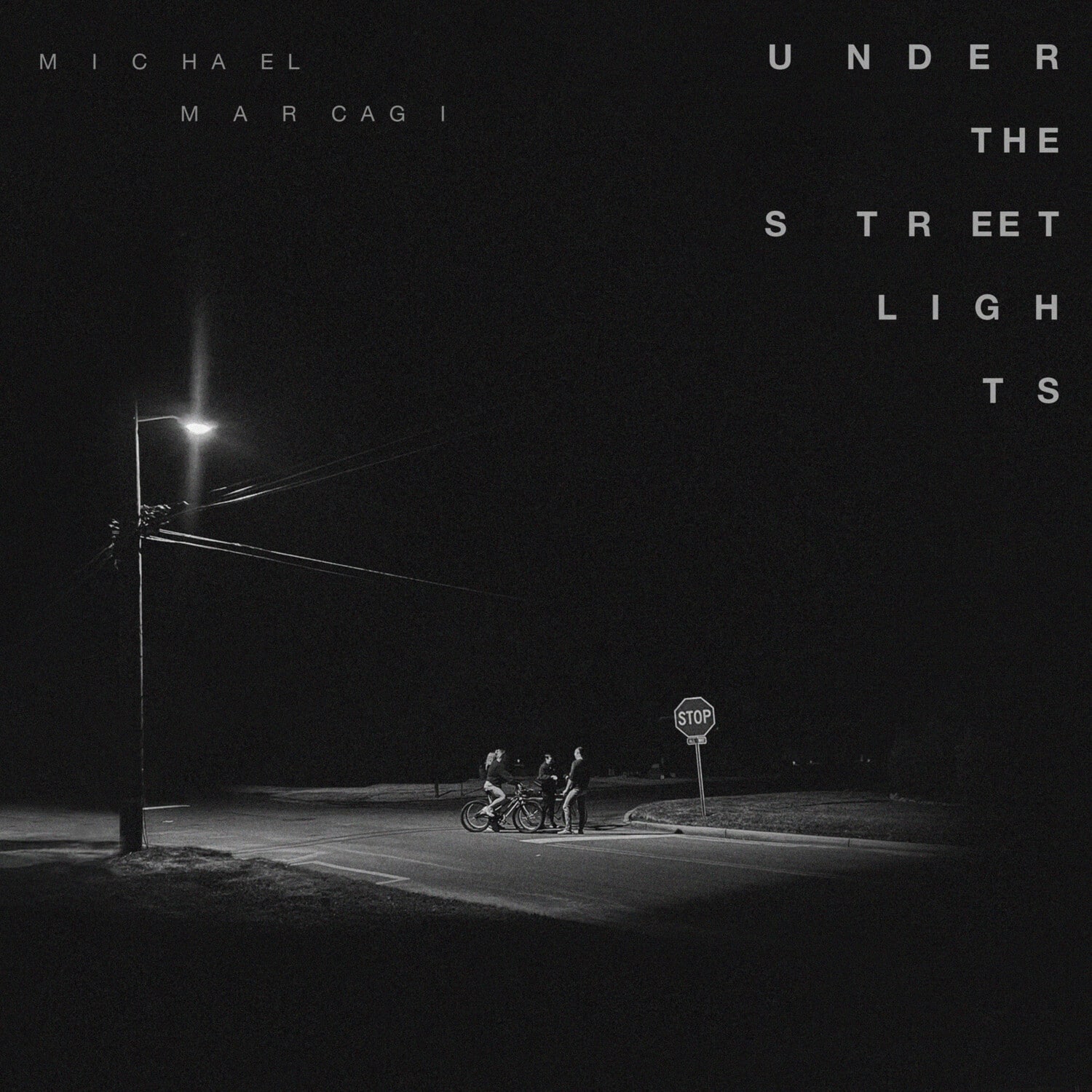 Michael Marcagi - Under The Streetlights   - VINYL LP price history on PriceWatchPro