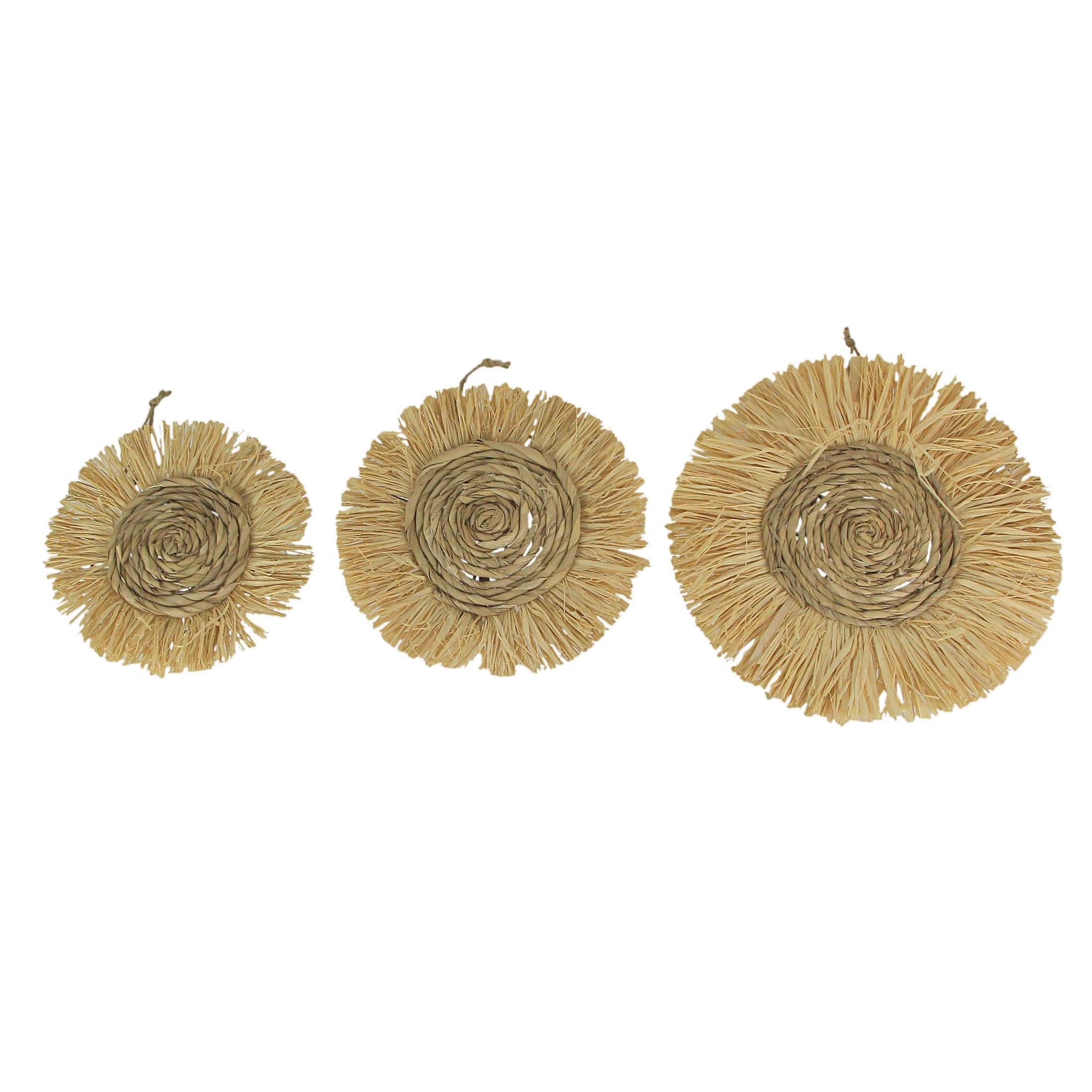 PD Home & Garden - Set of 3 Round Natural Woven Dried Grass Wall Hanging Sculptures Home Decor Art - Brown