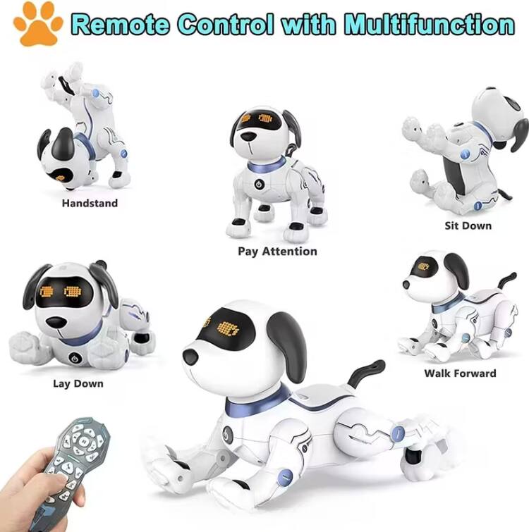 Remote Control with Multifunction

- Handstand
- Pay Attention
- Sit Down
- Lay Down
- Walk Forward