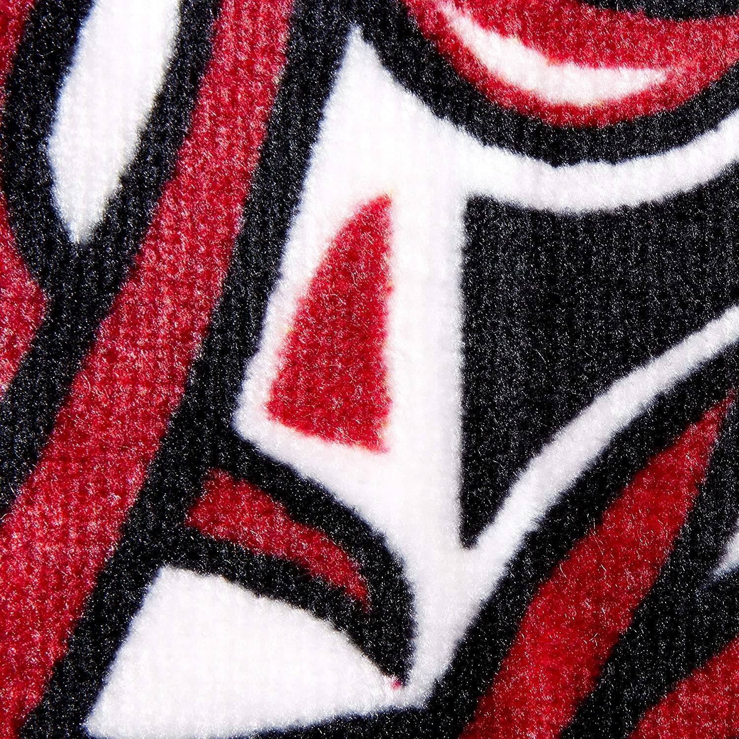 Alt View 2. Northwest - University of Wisconsin Badgers - Established in 1848 - Raschel 60x80 inch Blanket Throw - Multi.