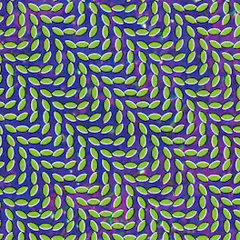 Animal Collective - Merriweather Post Pavilion - VINYL LP