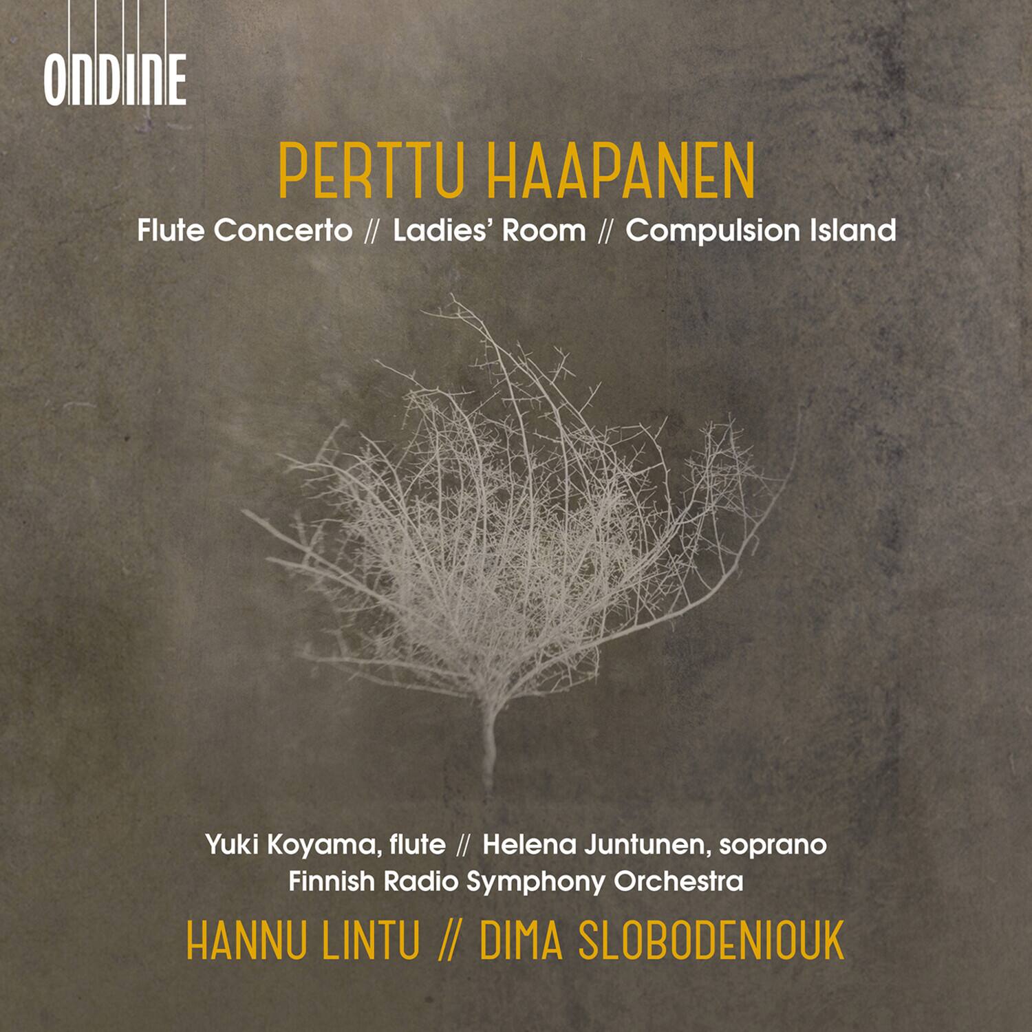 Haapanen / Koyama / Slobodeniouk - Flute Concerto   - COMPACT DISCS [CD]