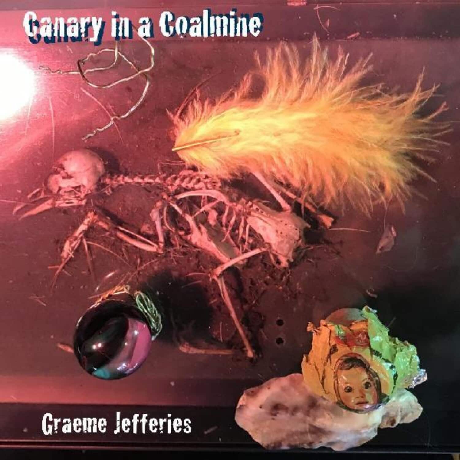 Graeme Jefferies - Canary In A Coalmine   - VINYL LP price history on PriceWatchPro