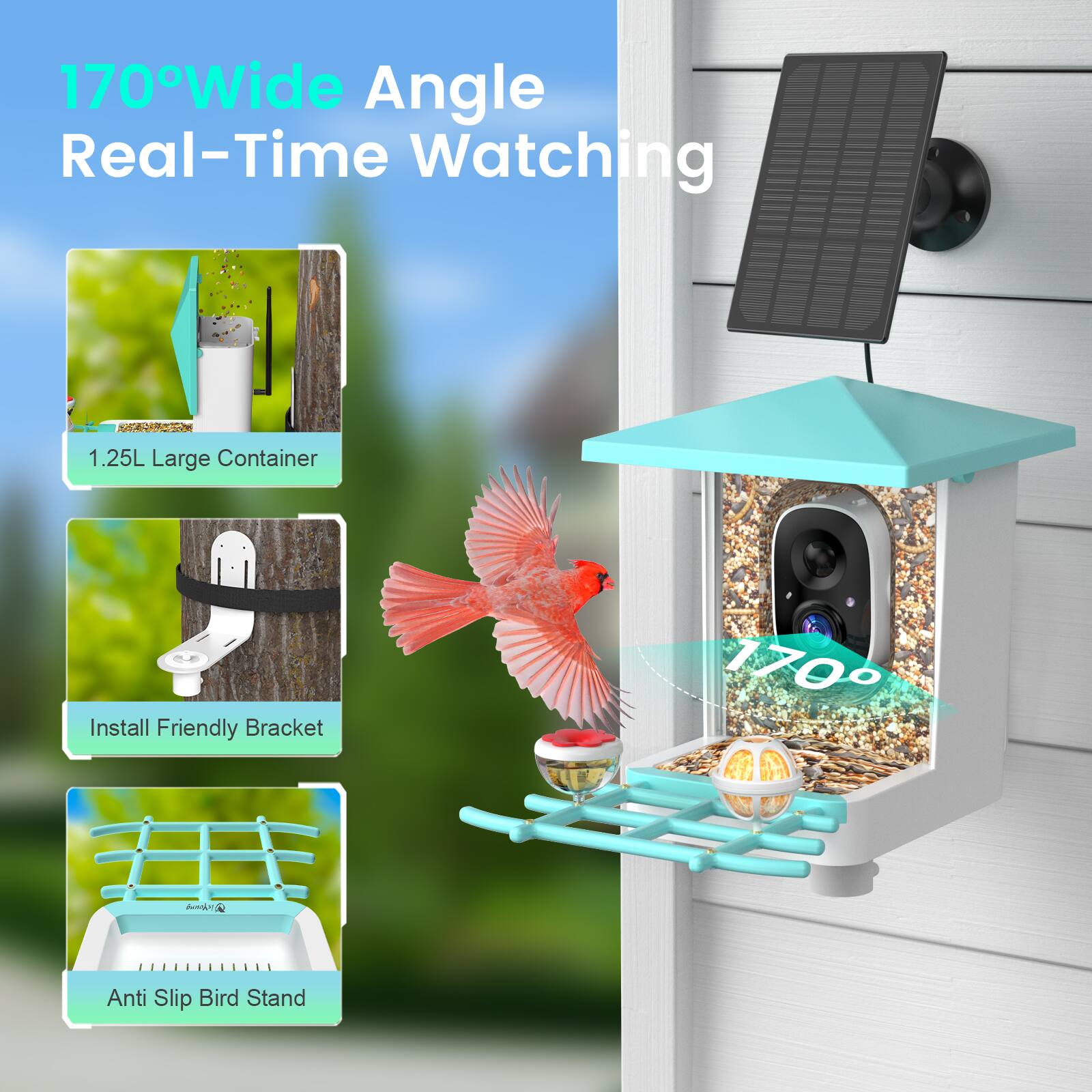 170° Wide Angle Real-Time Watching
1.25L Large Container
Install Friendly Bracket
Anti Slip Bird Stand