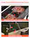 Dual-Zone Liftable Charcoal Trays
Easily control grilling temperature
Adjustable trays for independent temperature control
Handle operation for easy lifting