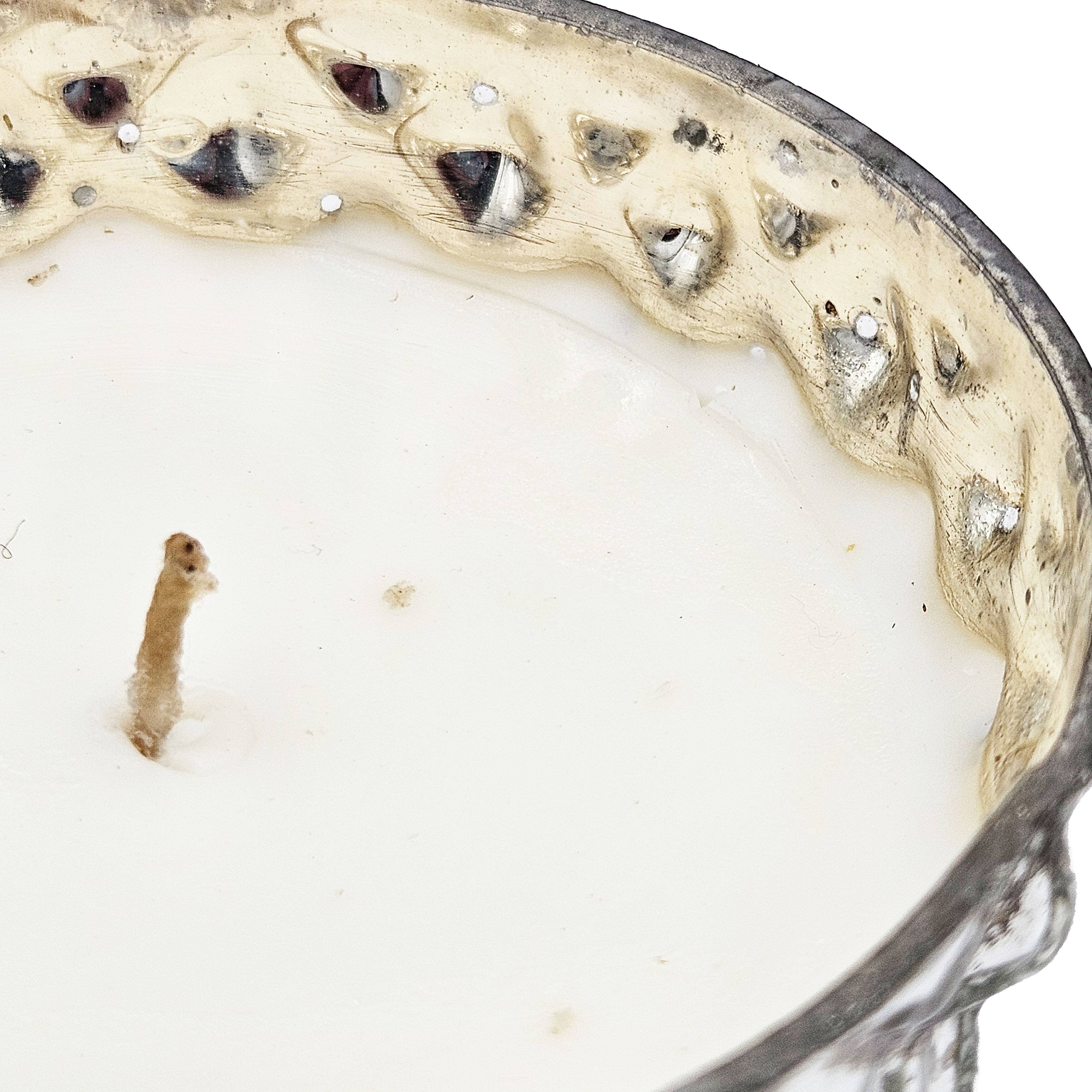 Left. TinyHomie - S4 Scented Soy Wax Candle.