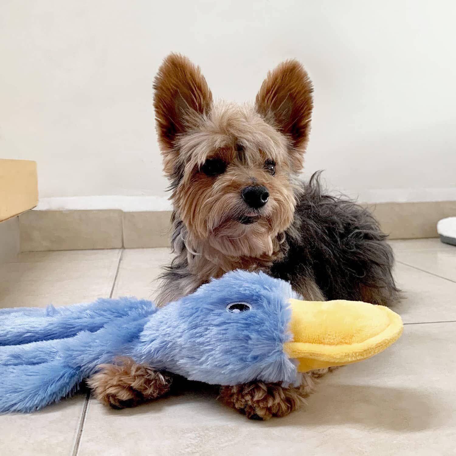 Back. Link - Link Active Crinkle Dog Toy for Small, Medium, and Large Breeds, Cute No Stuffing Duck with Soft Squeaker Pink (2 Pack) - Pink.