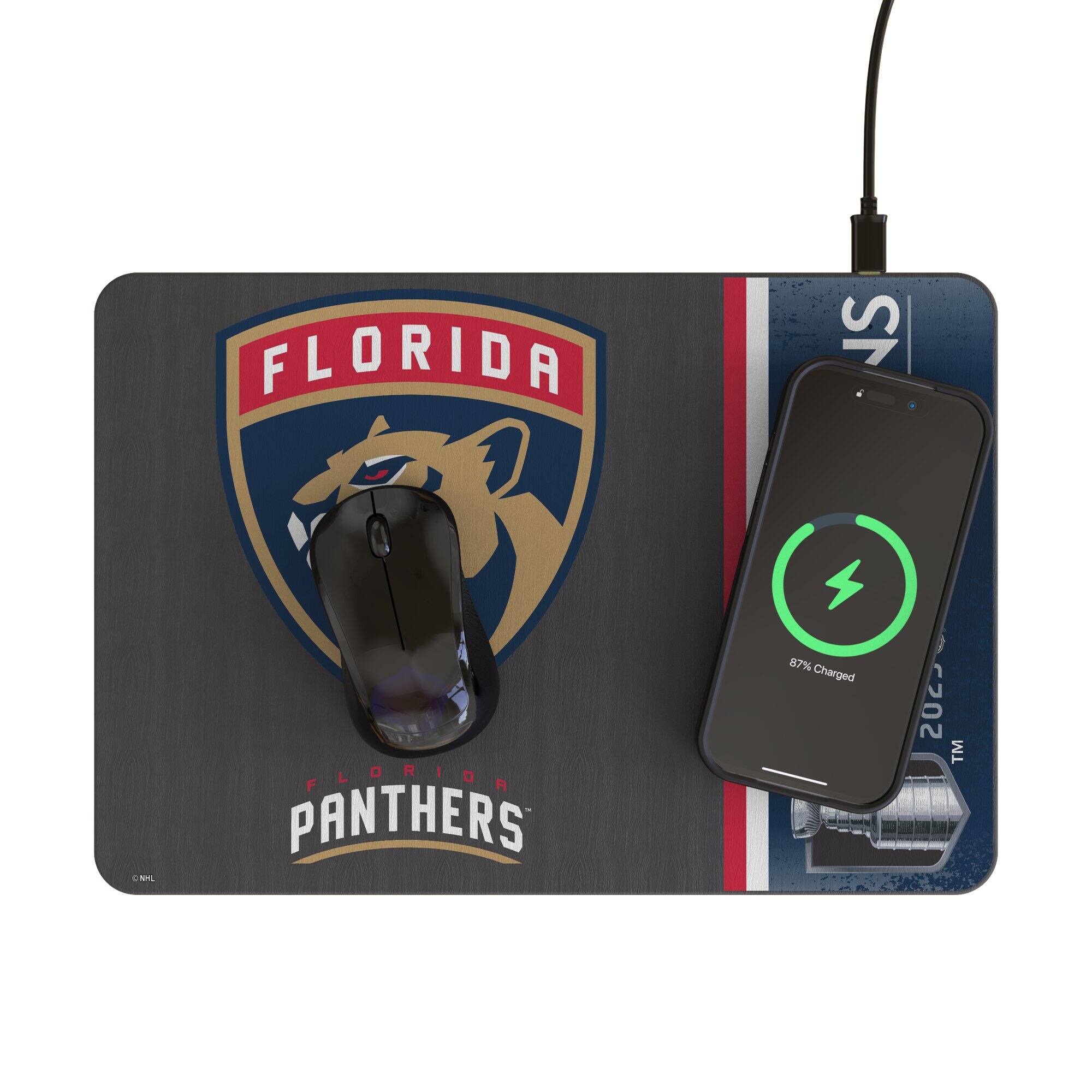 FLORIDA  
PANTHERS  

87% Charged  

2022 TM