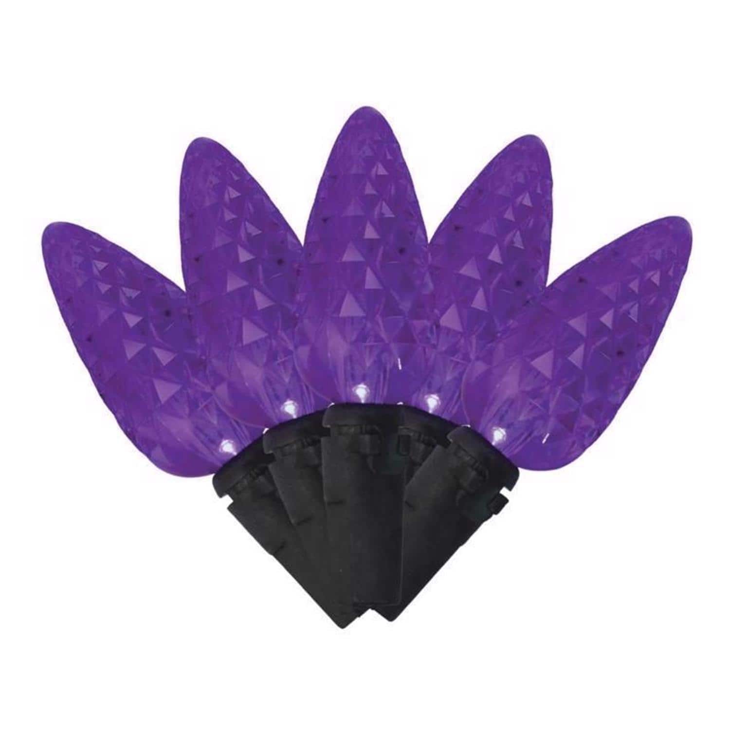 Celebrations - Halloween Purple 100 ct LED Anti Flicker String Lights price history on PriceWatchPro