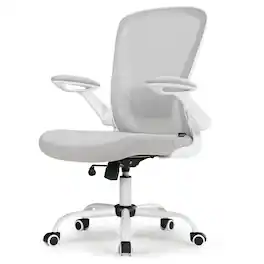 Eureka Ergonomic - Ergonomic Mesh Office Chair with Adjustable Lumbar Support & Flip-Up Armrests - Gray