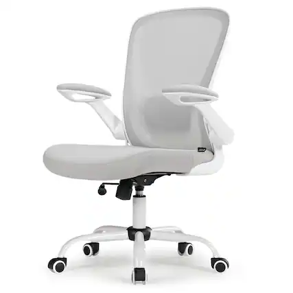 Front. Eureka Ergonomic - Ergonomic Mesh Office Chair with Adjustable Lumbar Support & Flip-Up Armrests - Grey.