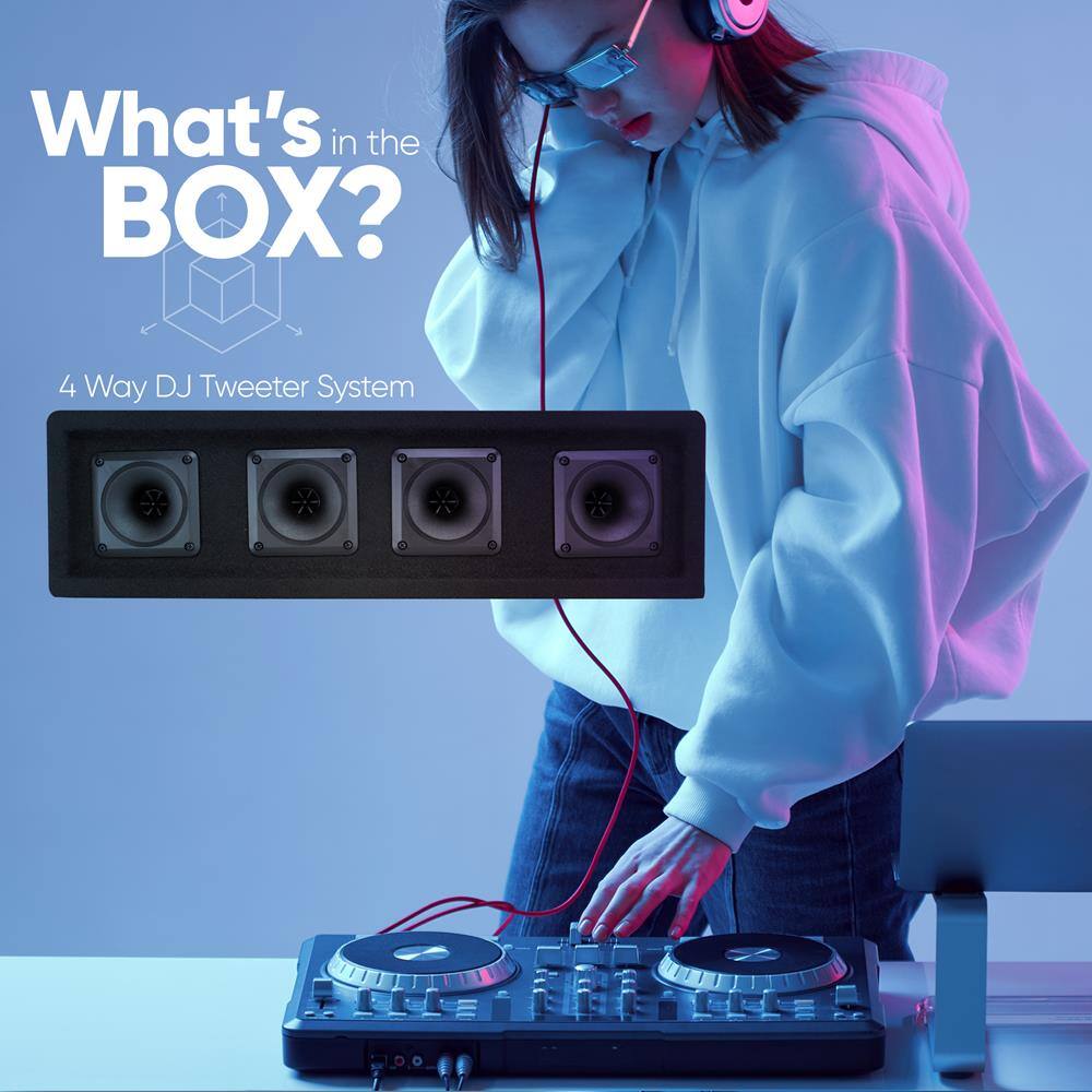 What's in the BOX?

4 Way DJ Tweeter System