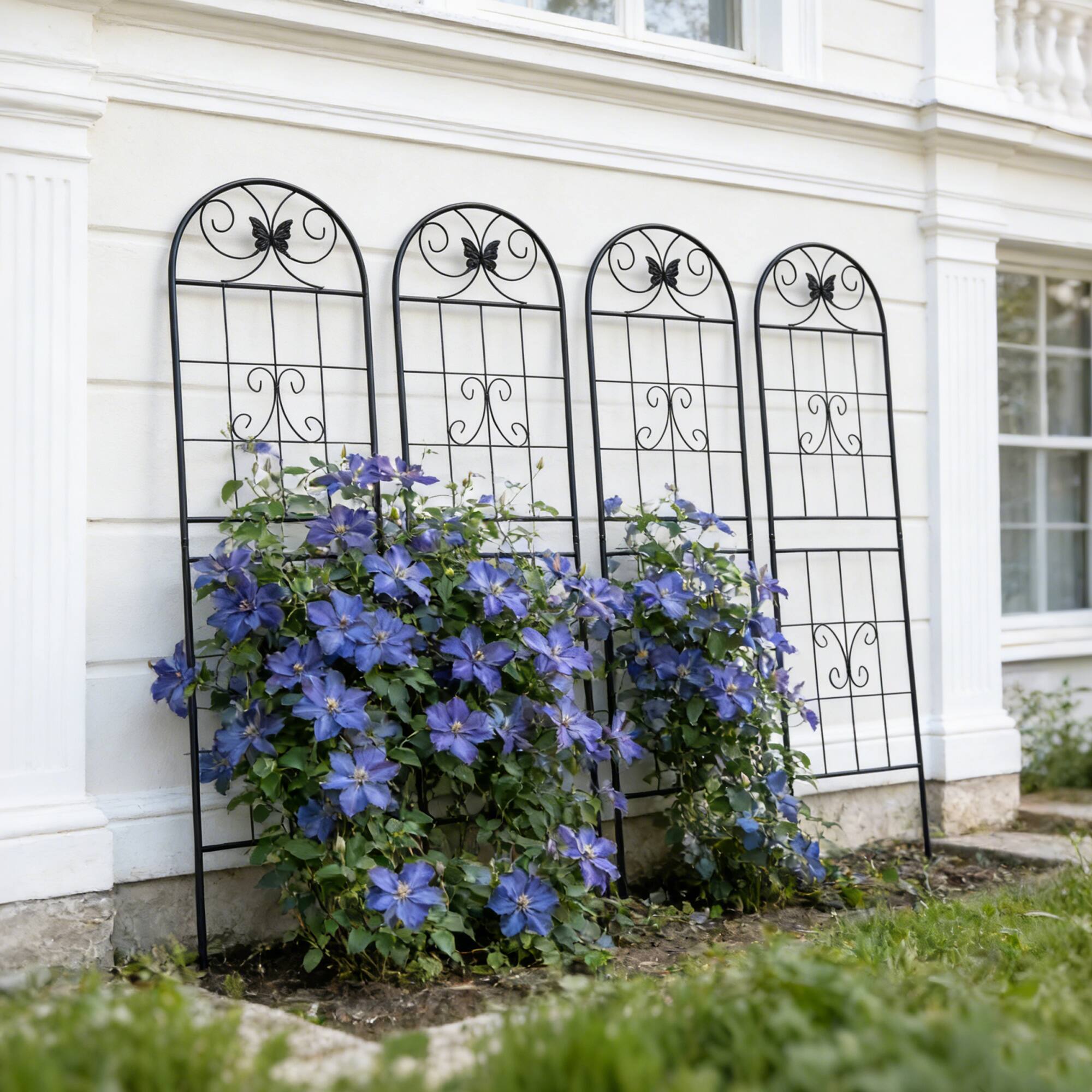 Left. Loheer - 4 Pack Rustproof Metal Garden Trellis 5.9 ft x 1.64 ft for Climbing Plants Outdoor Flower Support.