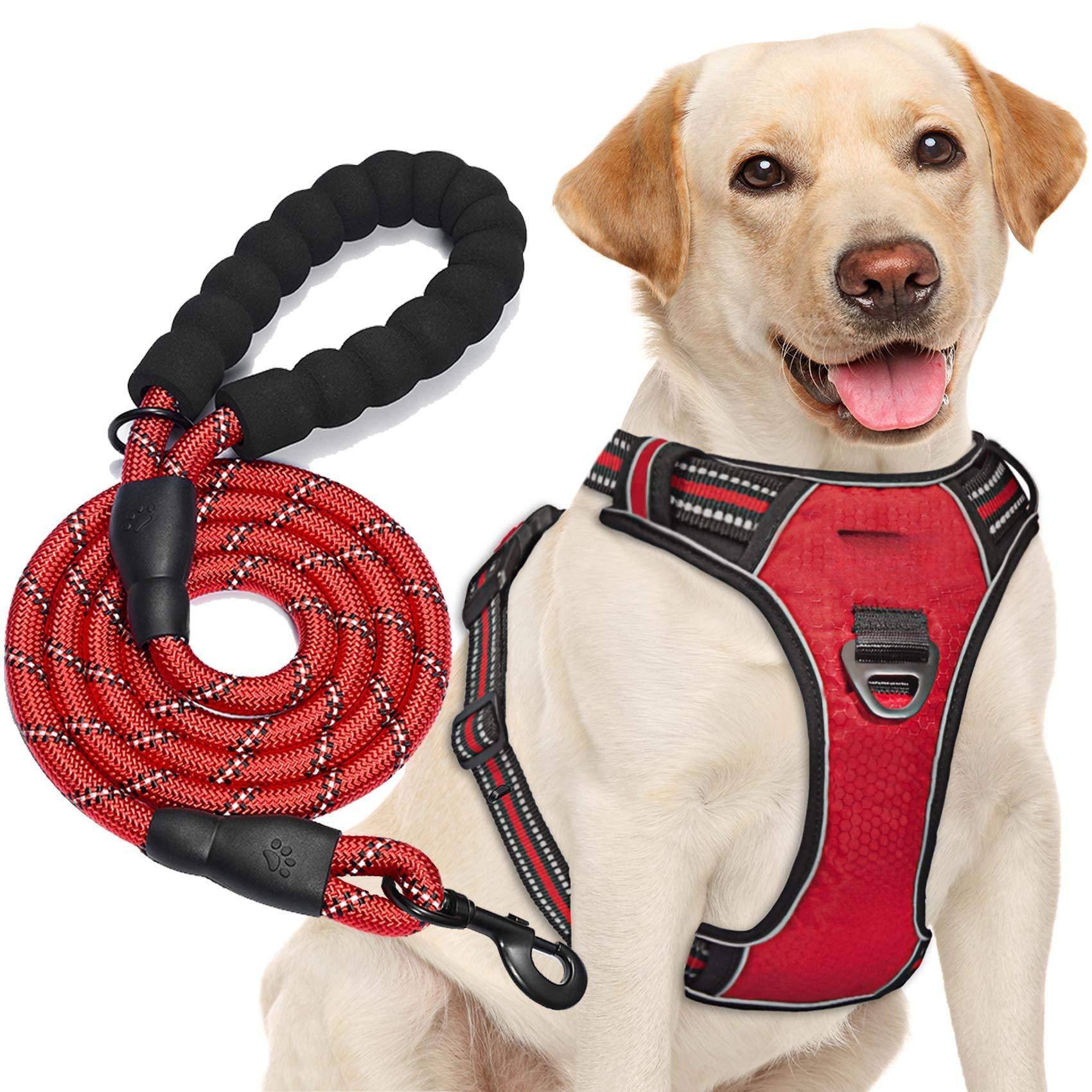 Red Harness+Leash-Large