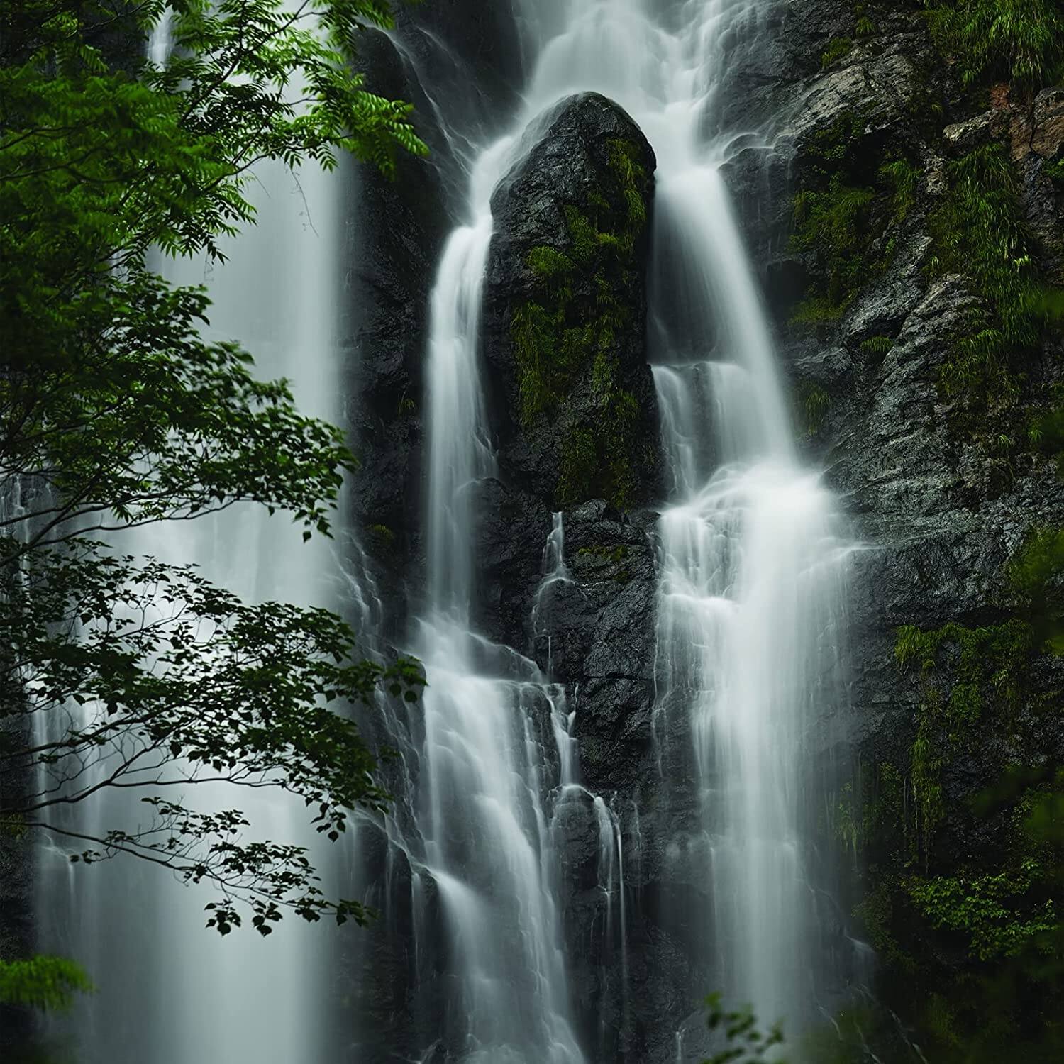 Alt View 2. Nikon - Nikon NIKKOR Z 100-400mm f/4.5-5.6 VR S Lens w/ Advanced Accessories and Travel Bundle | 20106 | nikon 100-400mm z Lens - Black.