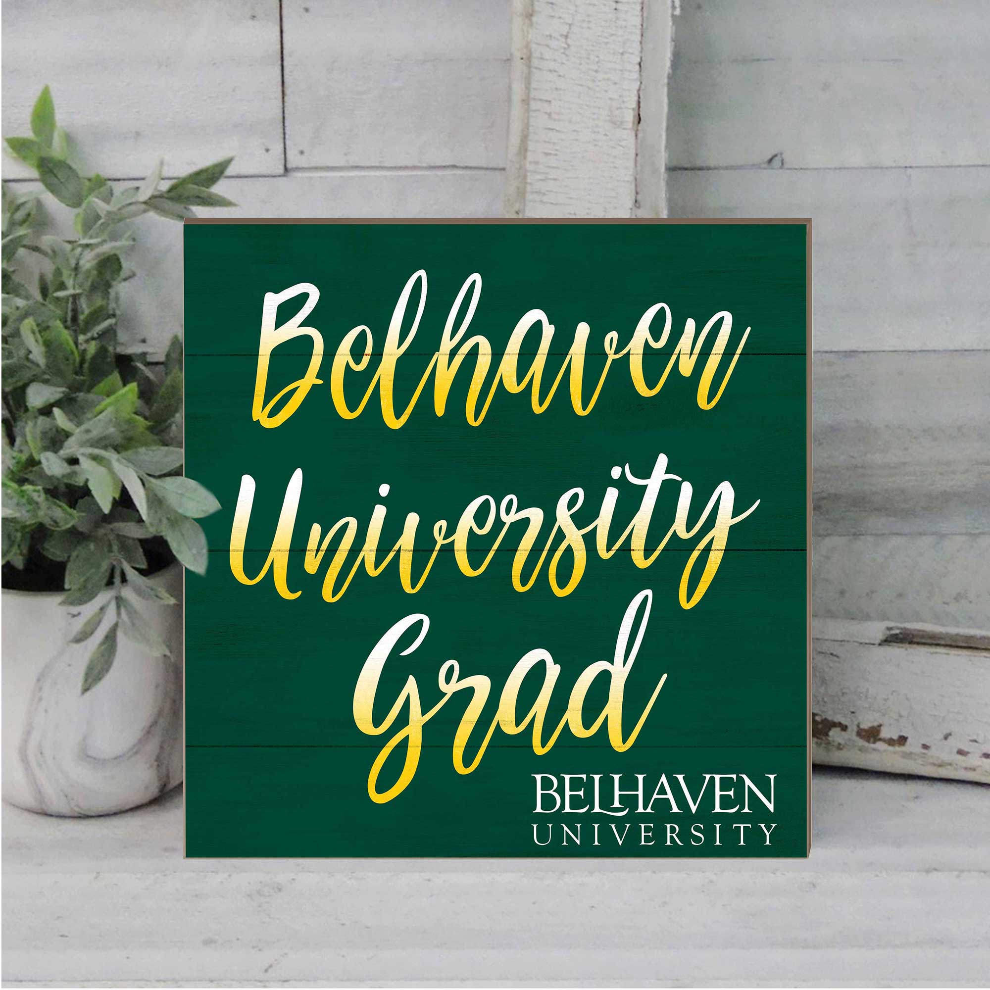 Belhaven University Grad  
BELHAVEN UNIVERSITY