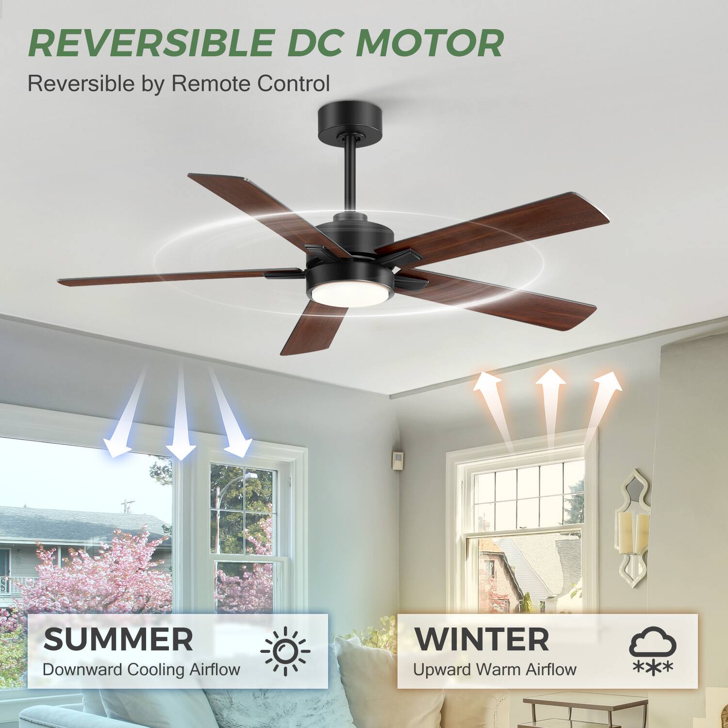 REVERSIBLE DC MOTOR  
Reversible by Remote Control  

SUMMER  
Downward Cooling Airflow  

WINTER  
Upward Warm Airflow