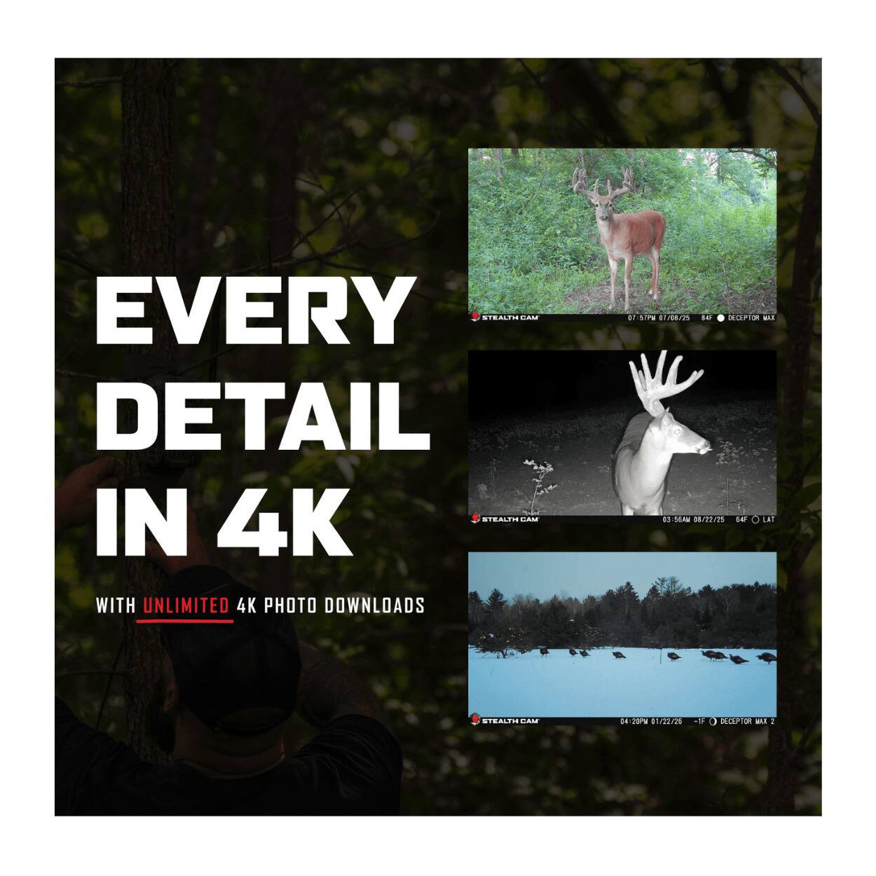 EVERY DETAIL IN 4K WITH UNLIMITED 4K PHOTO DOWNLOADS

01/08/25 BAI OECPIO BIE 8g_56AM 08/22/25 64F O LAT STEALIE GAM 0420 01/22/26 -IF D DECEPTOR MAX