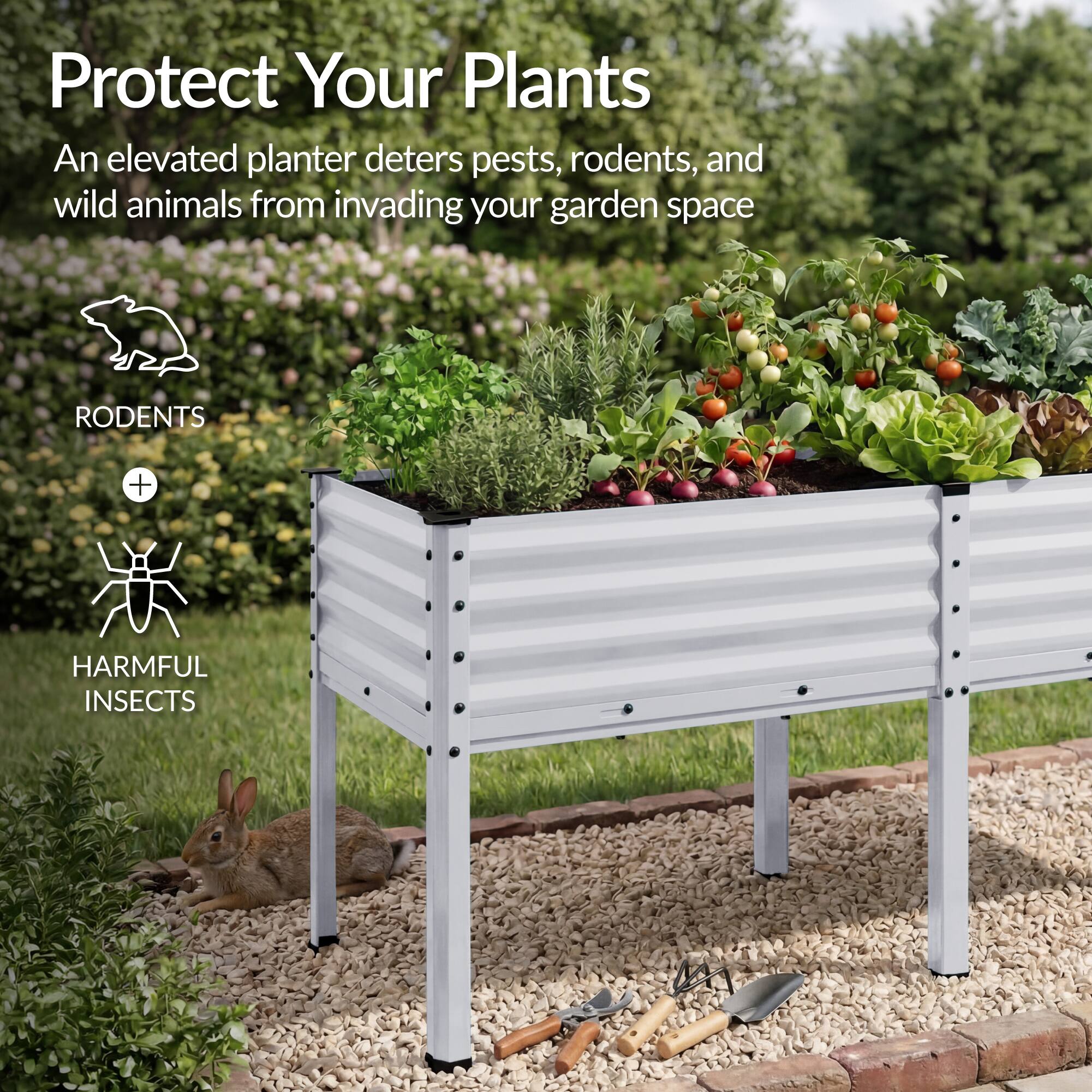 Protect Your Plants

An elevated planter deters pests, rodents, and wild animals from invading your garden space

RODENTS + HARMFUL INSECTS