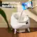 Refill Without Bending Over
Delivering a more accessible experience for all cat parents.
Papenesseo CAT LITTER I 000PGO - J Y CAT-LINK