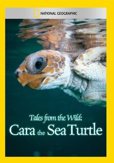 Tales from the Wild: Cara the Sea Turtle - DVD