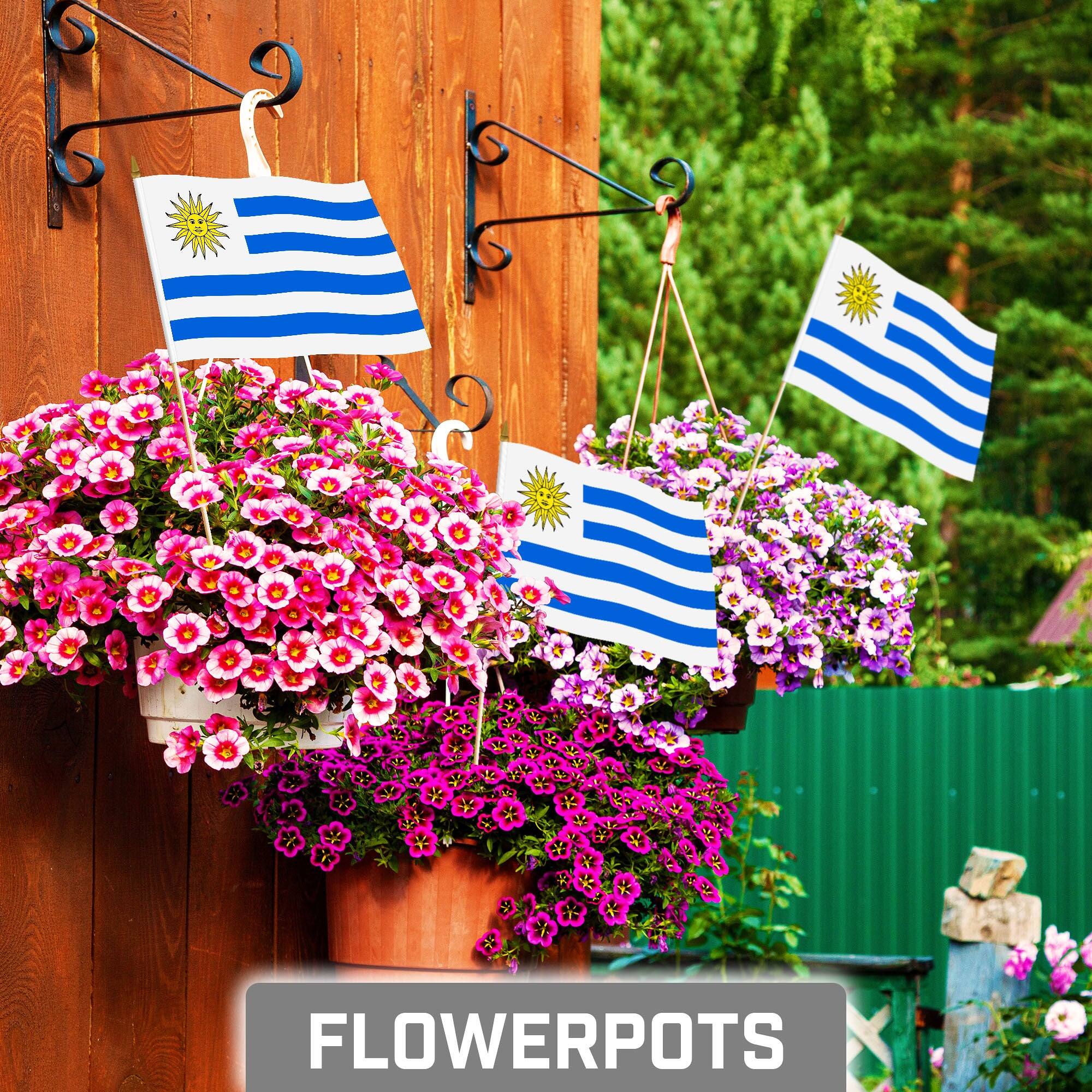 Angle. G128 - 50-Pack Handheld Uruguay Stick Flags 8x12 in, 150D Polyester, Wooden Stick with Gold Spear Tip - Assorted Colors.