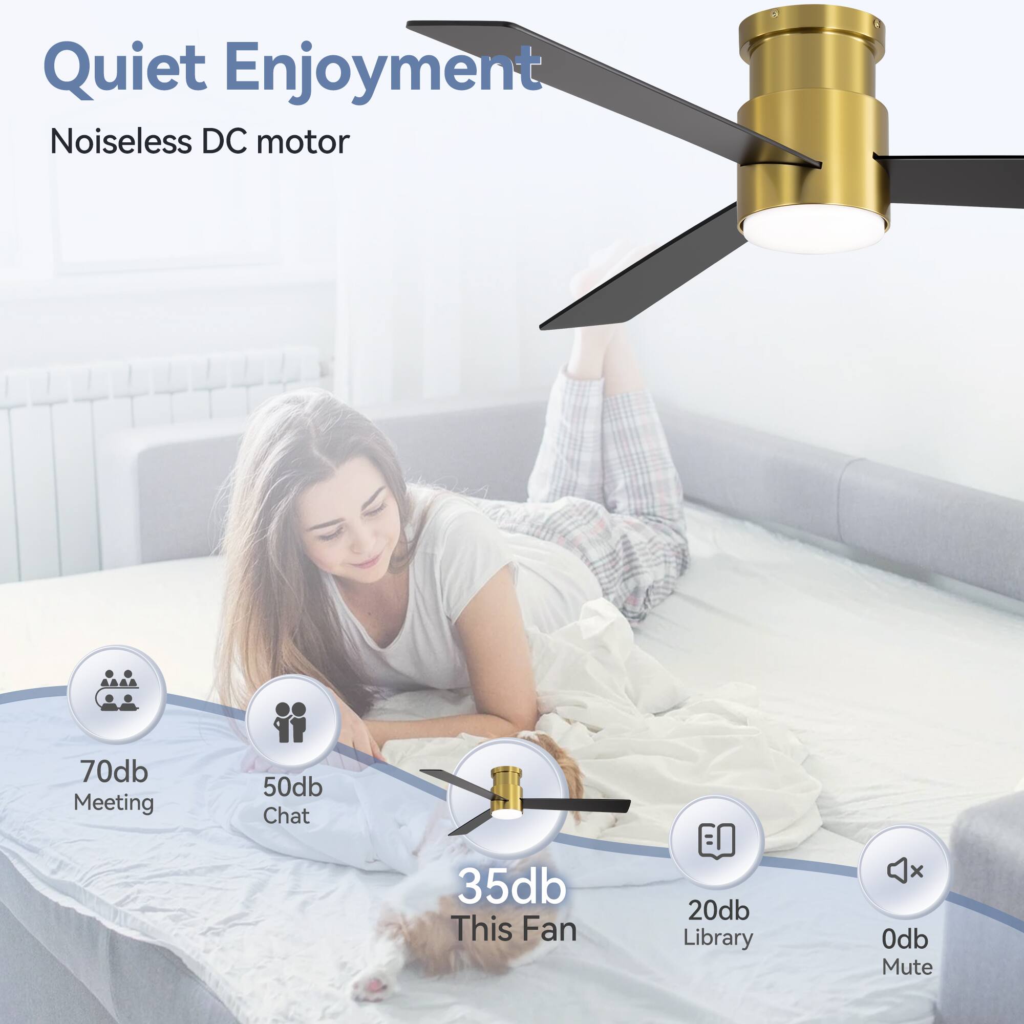 Quiet Enjoyment, Noiseless DC motor, 70db Meeting, 50db Chat, 35db This Fan, 20db Library, 0db Mute
